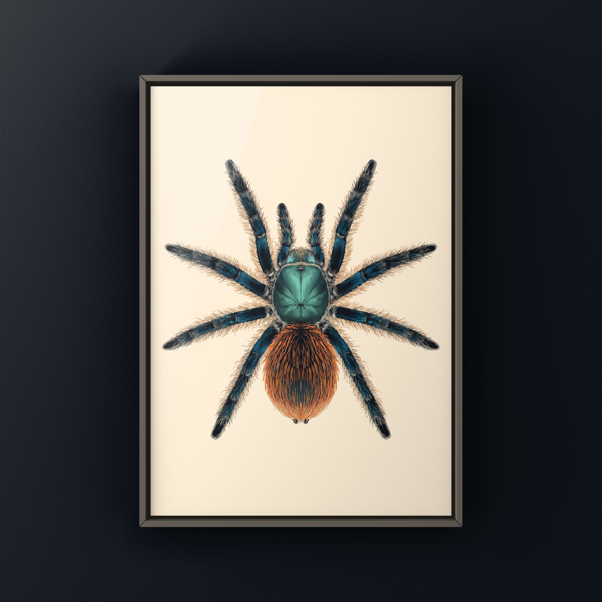 Jade Fuego Tarantula, Aphonopelma Mooreae, Photographic Art Print from The Silk Ranch