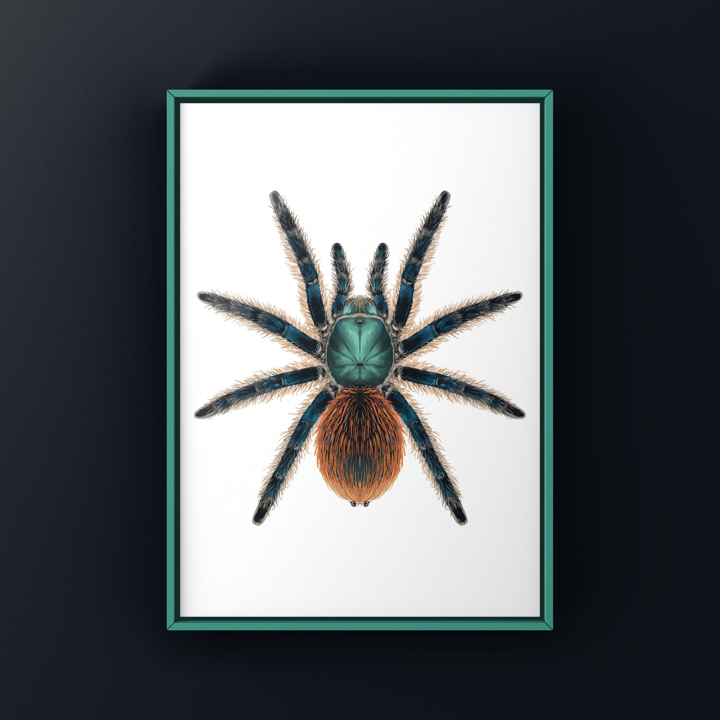 Jade Fuego Tarantula, Aphonopelma Mooreae, Photographic Art Print from The Silk Ranch