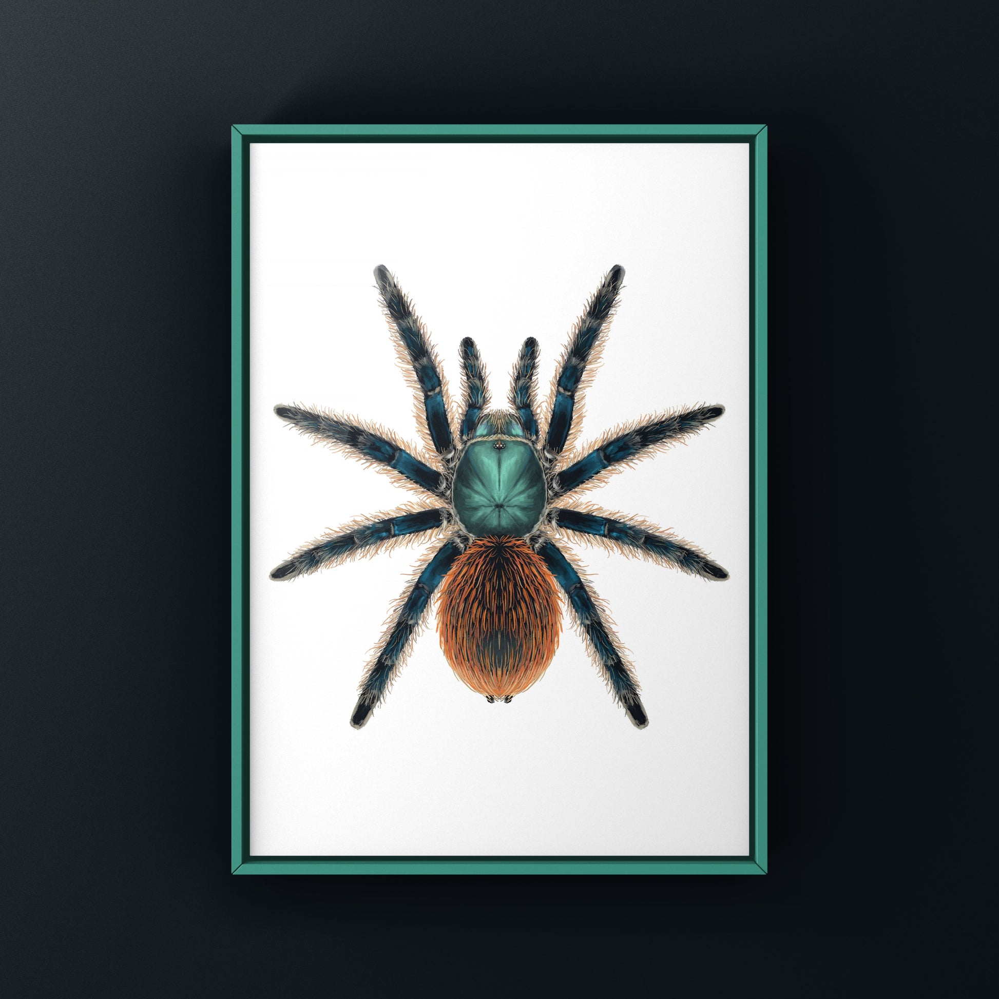 Jade Fuego Tarantula, Aphonopelma Mooreae, Photographic Art Print from The Silk Ranch