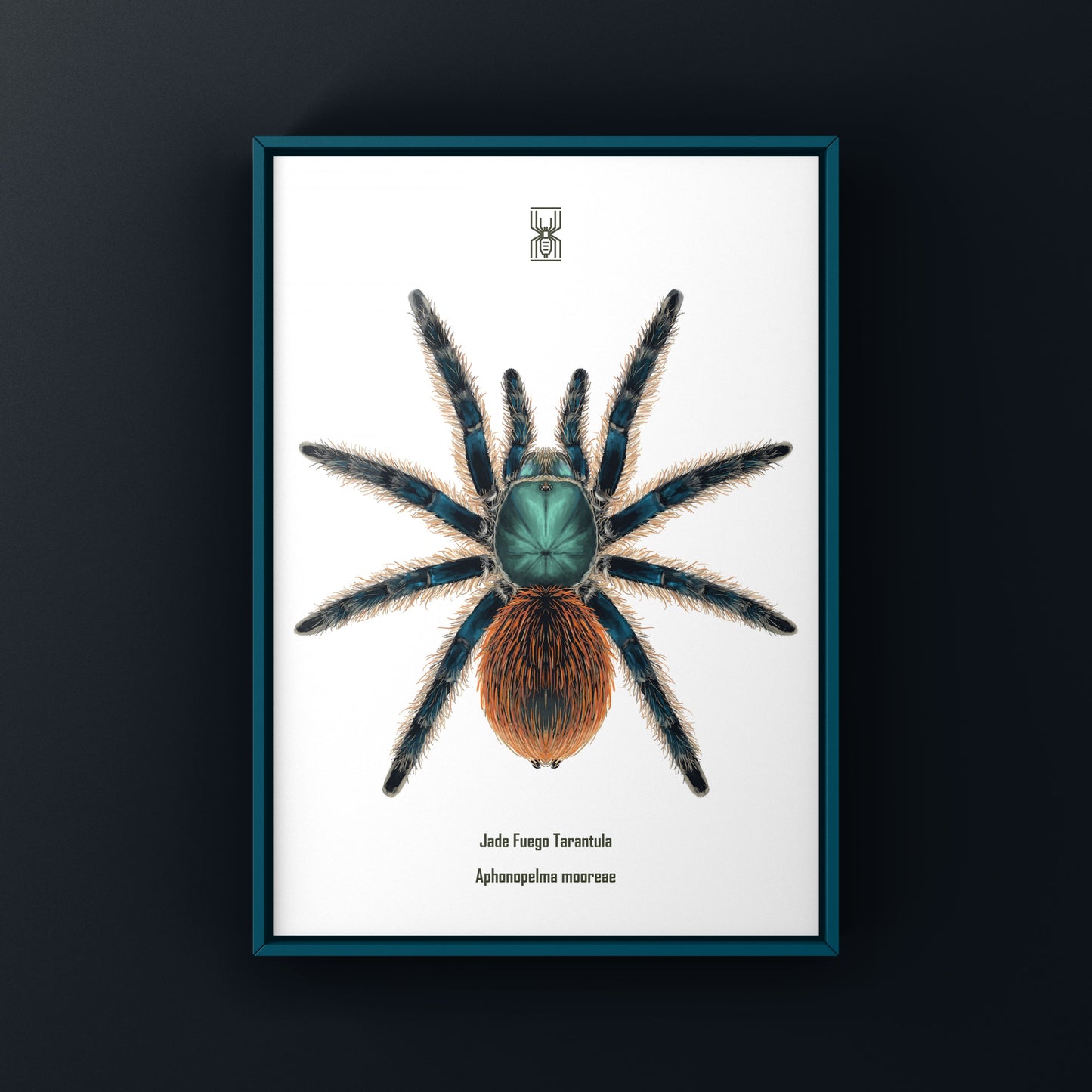 Jade Fuego Tarantula, Aphonopelma Mooreae, Photographic Art Print from The Silk Ranch