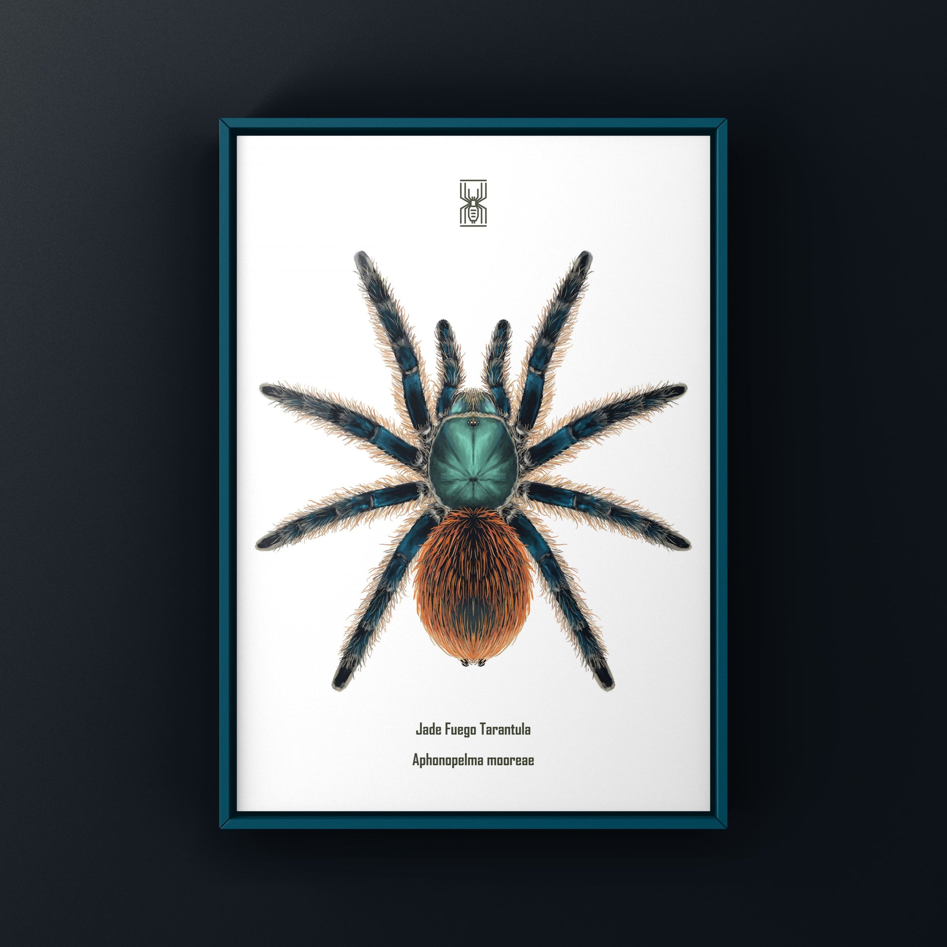 Jade Fuego Tarantula, Aphonopelma Mooreae, Photographic Art Print from The Silk Ranch