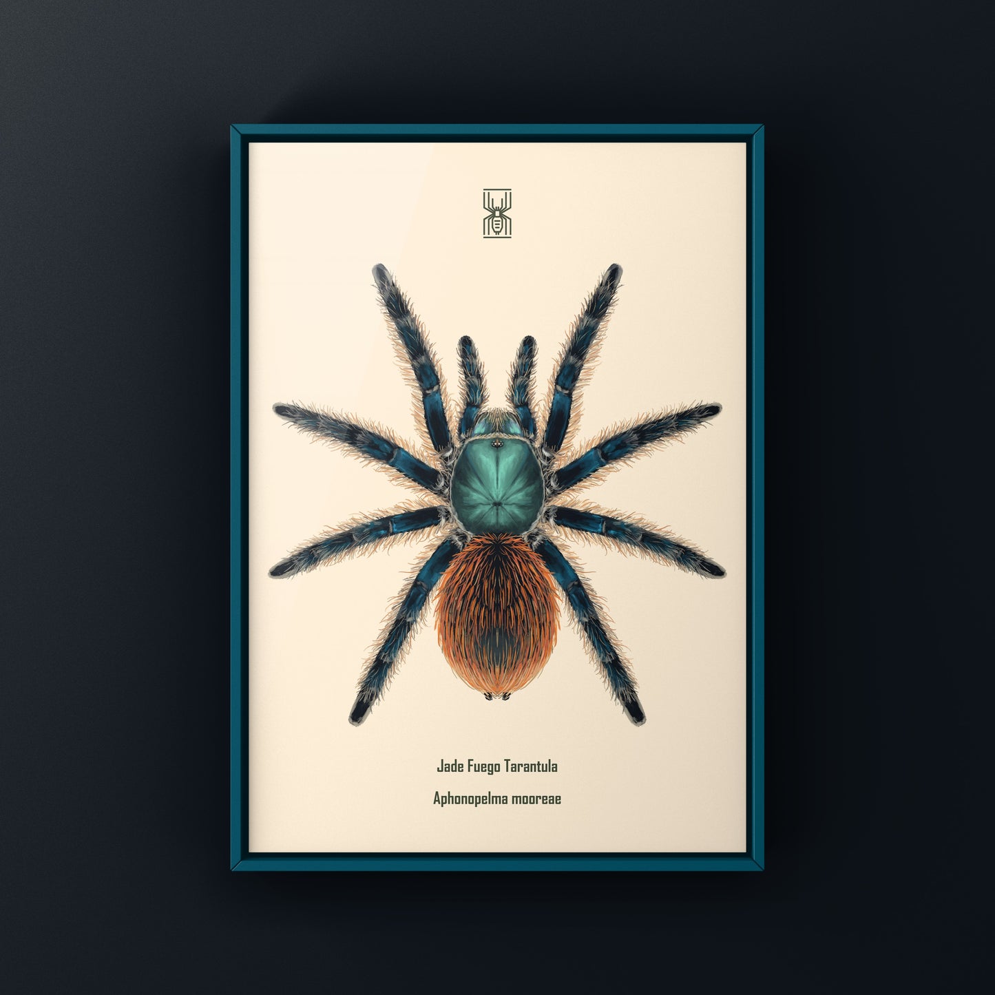 Jade Fuego Tarantula, Aphonopelma Mooreae, Photographic Art Print from The Silk Ranch