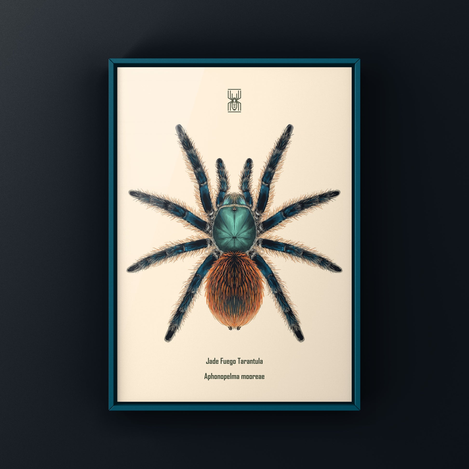 Jade Fuego Tarantula, Aphonopelma Mooreae, Photographic Art Print from The Silk Ranch