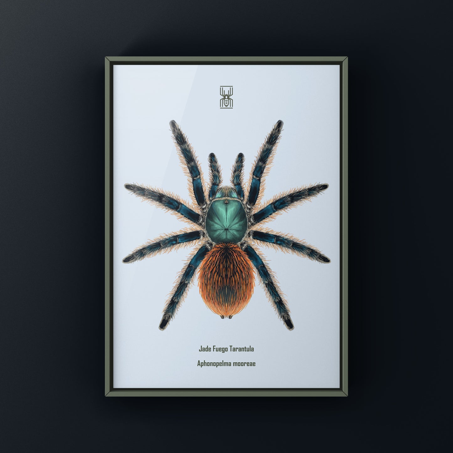 Jade Fuego Tarantula, Aphonopelma Mooreae, Photographic Art Print from The Silk Ranch