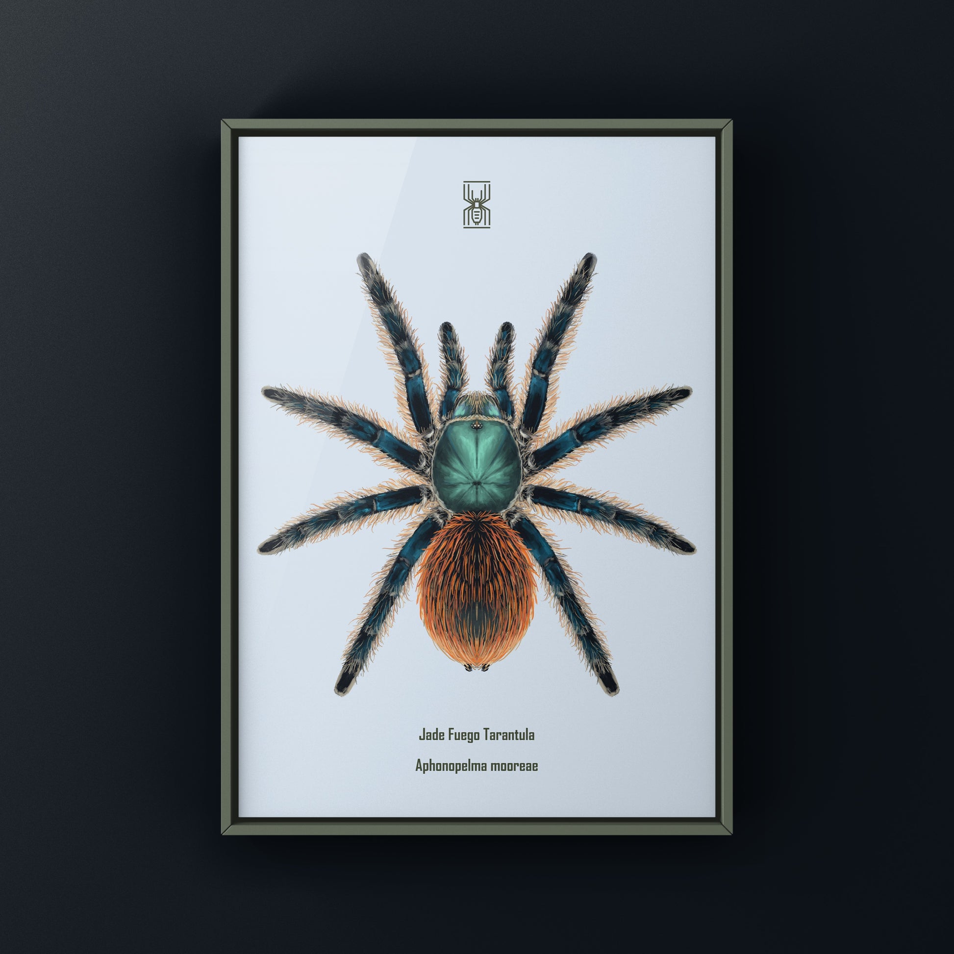 Jade Fuego Tarantula, Aphonopelma Mooreae, Photographic Art Print from The Silk Ranch