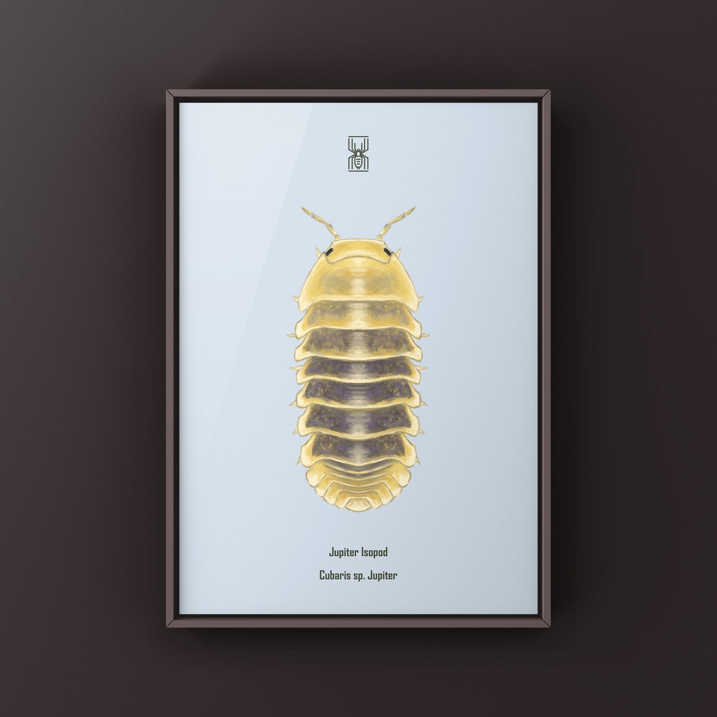 Jupiter Isopod, Cubaris sp. Jupiter, Photographic Art Print from The Silk Ranch