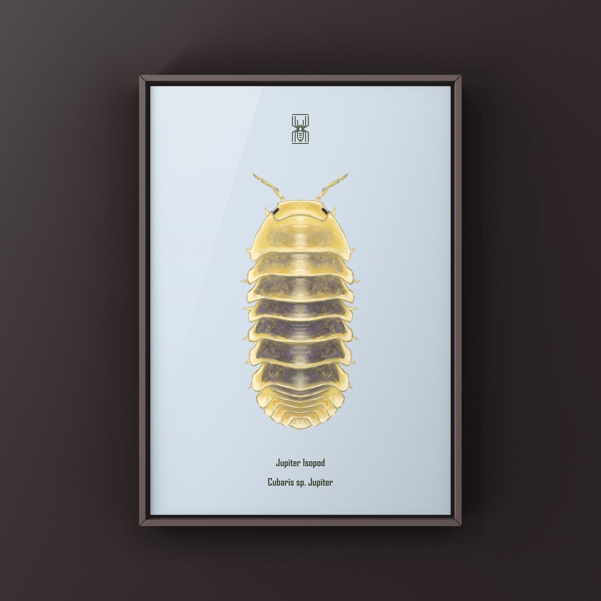 Jupiter Isopod, Cubaris sp. Jupiter, Photographic Art Print from The Silk Ranch