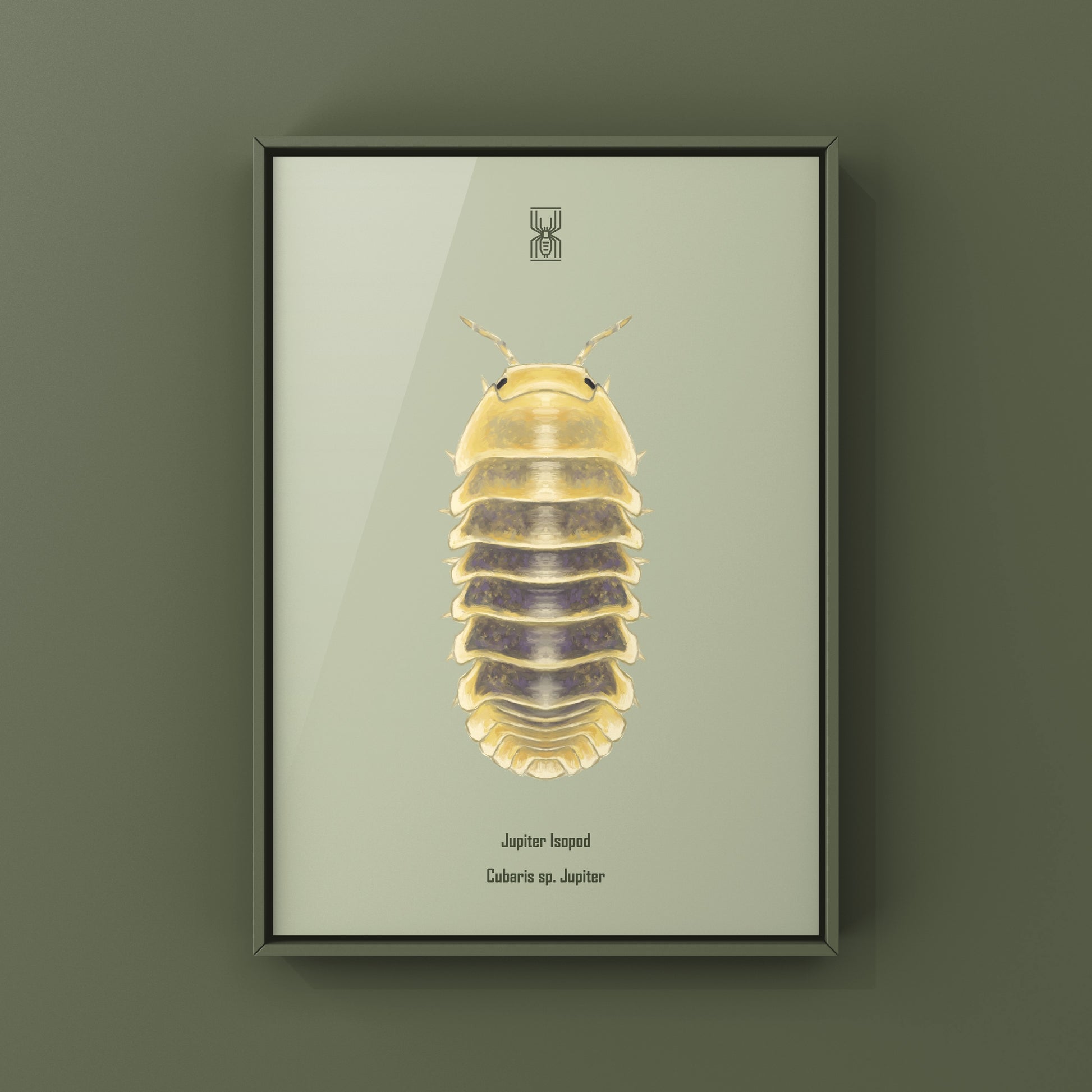 Jupiter Isopod, Cubaris sp. Jupiter, Photographic Art Print from The Silk Ranch