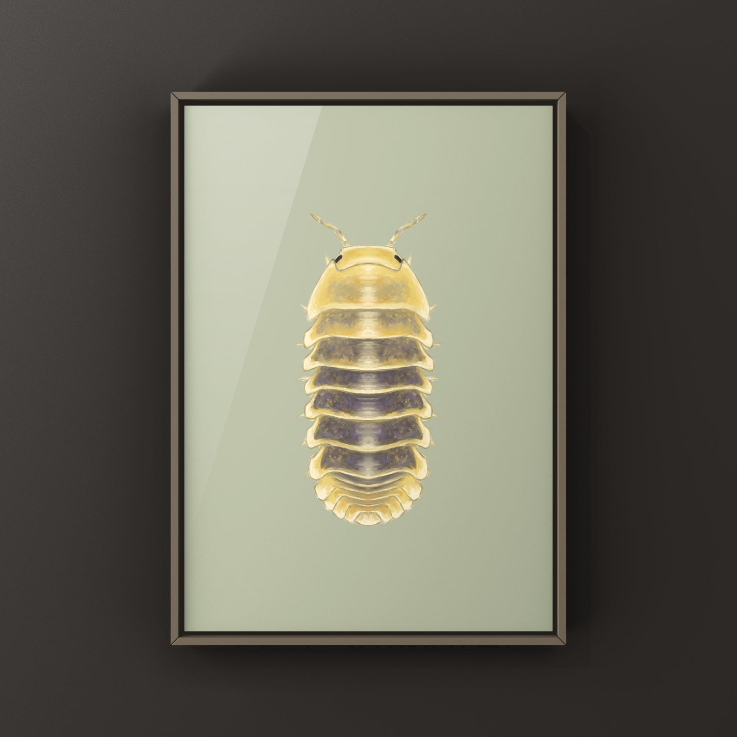 Jupiter Isopod, Cubaris sp. Jupiter, Photographic Art Print from The Silk Ranch