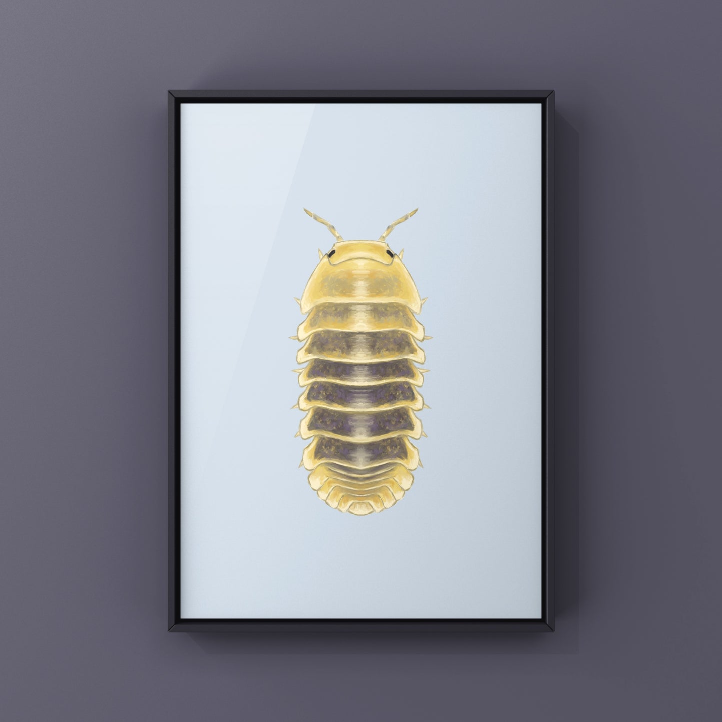 Jupiter Isopod, Cubaris sp. Jupiter, Photographic Art Print from The Silk Ranch