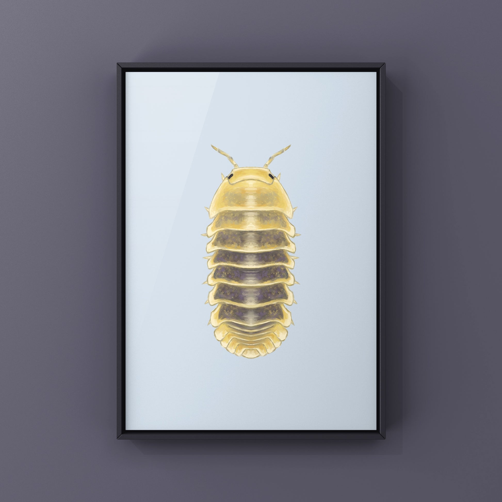 Jupiter Isopod, Cubaris sp. Jupiter, Photographic Art Print from The Silk Ranch