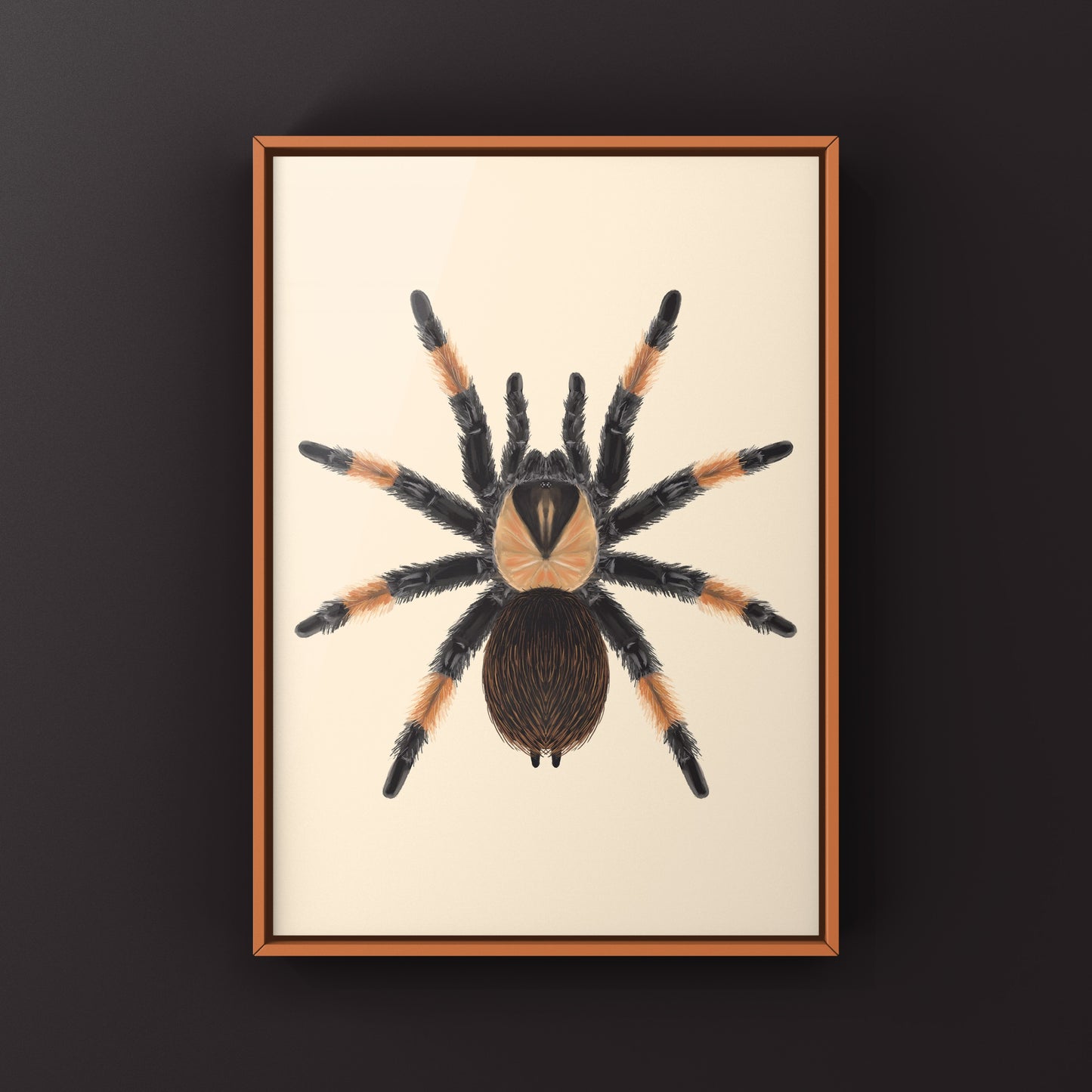 Mexican Red Leg Tarantula, Brachypelma Emilia, Photographic Art Print from The Silk Ranch