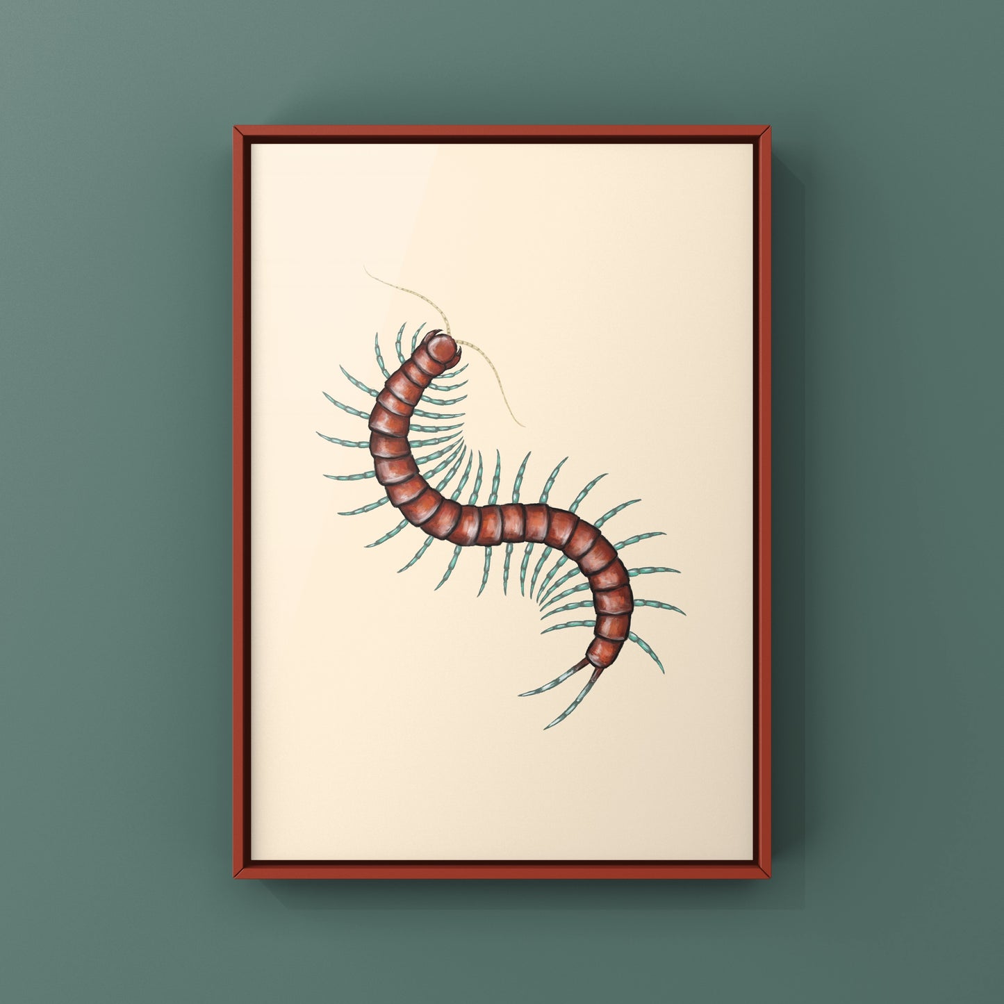 Mint Leg Centipede, Scolopendra sp. Mint Legs, Photographic Art Print from The Silk Ranch