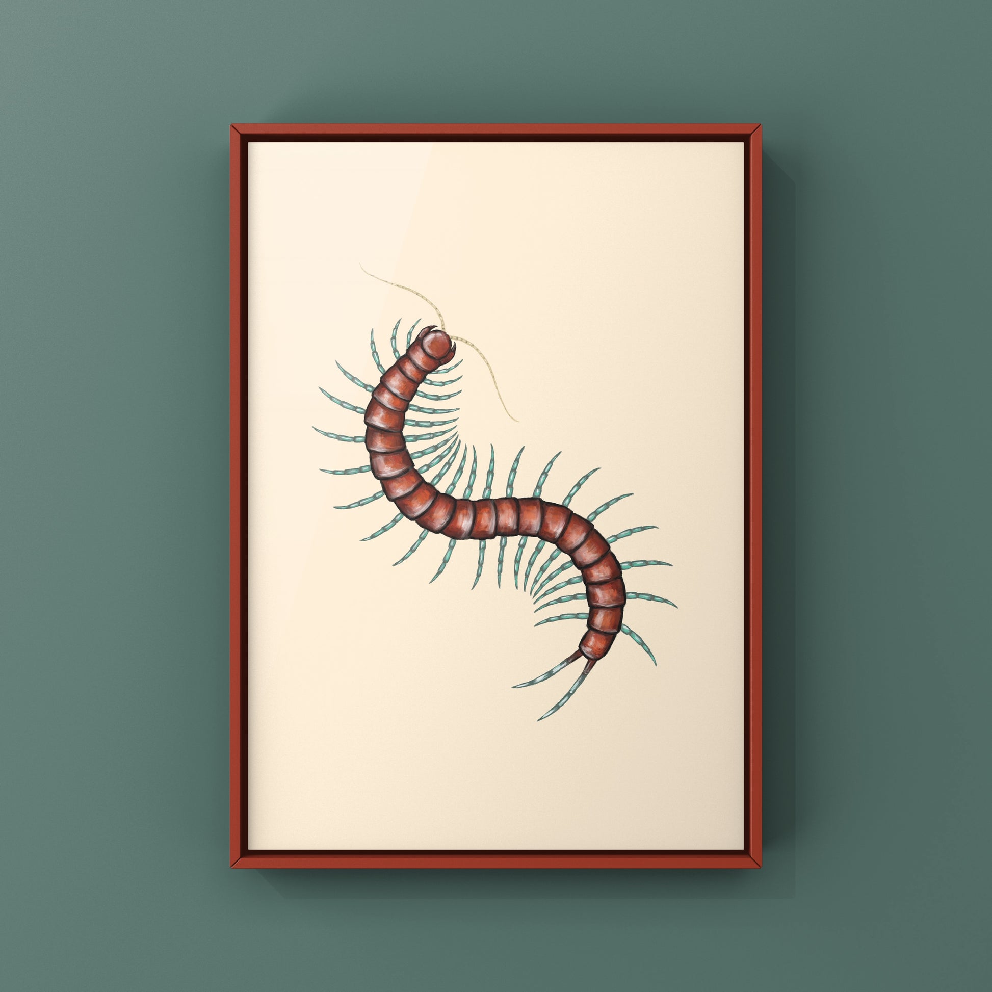 Mint Leg Centipede, Scolopendra sp. Mint Legs, Photographic Art Print from The Silk Ranch