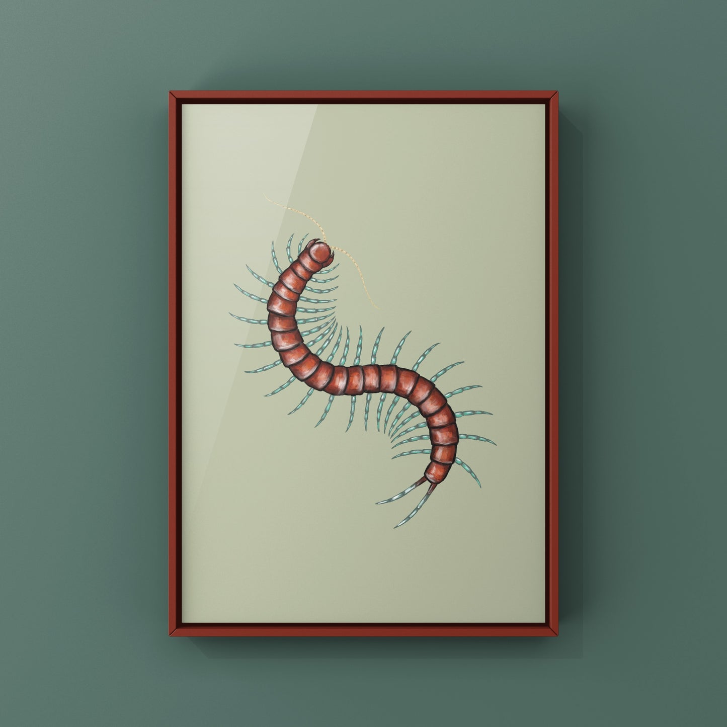 Mint Leg Centipede, Scolopendra sp. Mint Legs, Photographic Art Print from The Silk Ranch