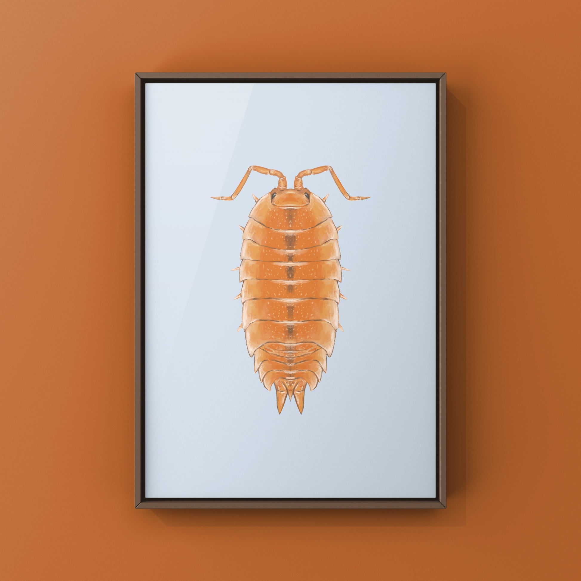 Orange Scaber Isopod, Porcellio Scaber Orange, Photographic Art Print from The Silk Ranch