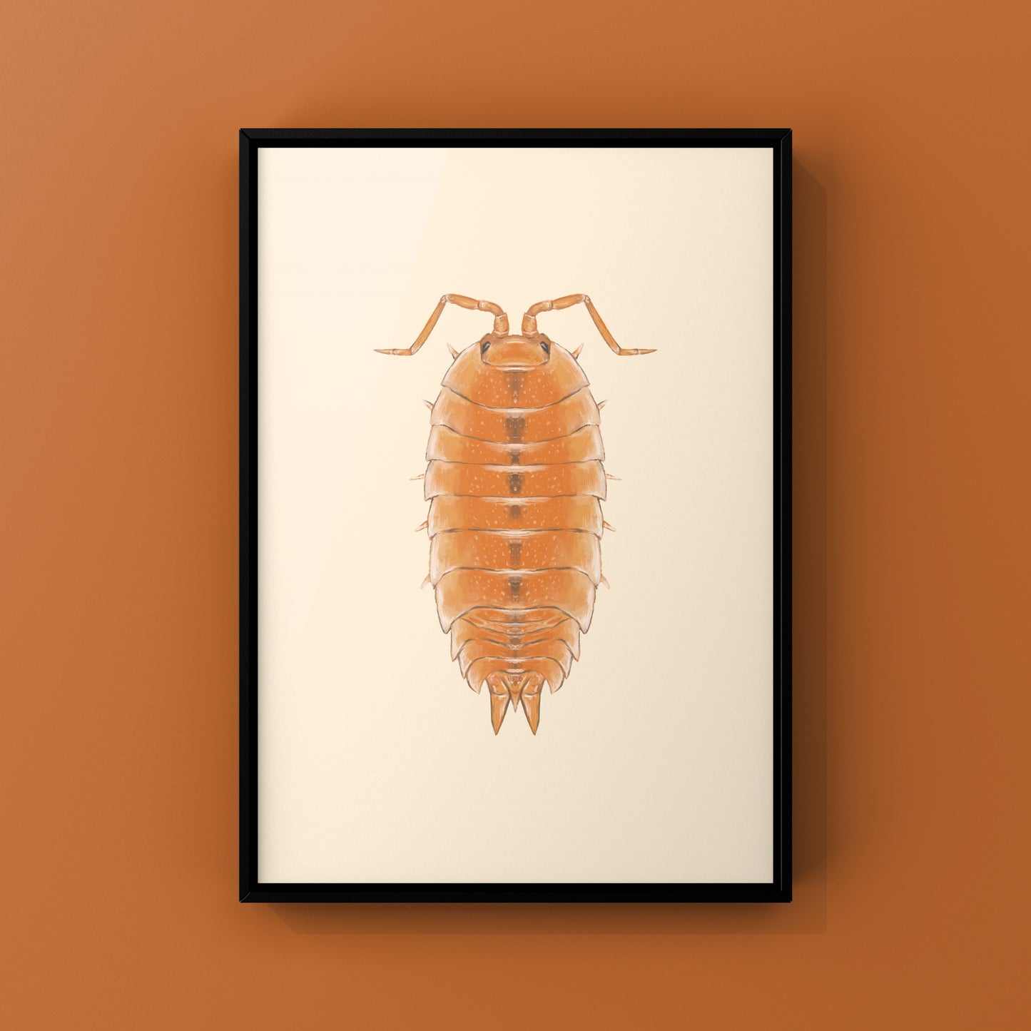 Orange Scaber Isopod, Porcellio Scaber Orange, Photographic Art Print from The Silk Ranch