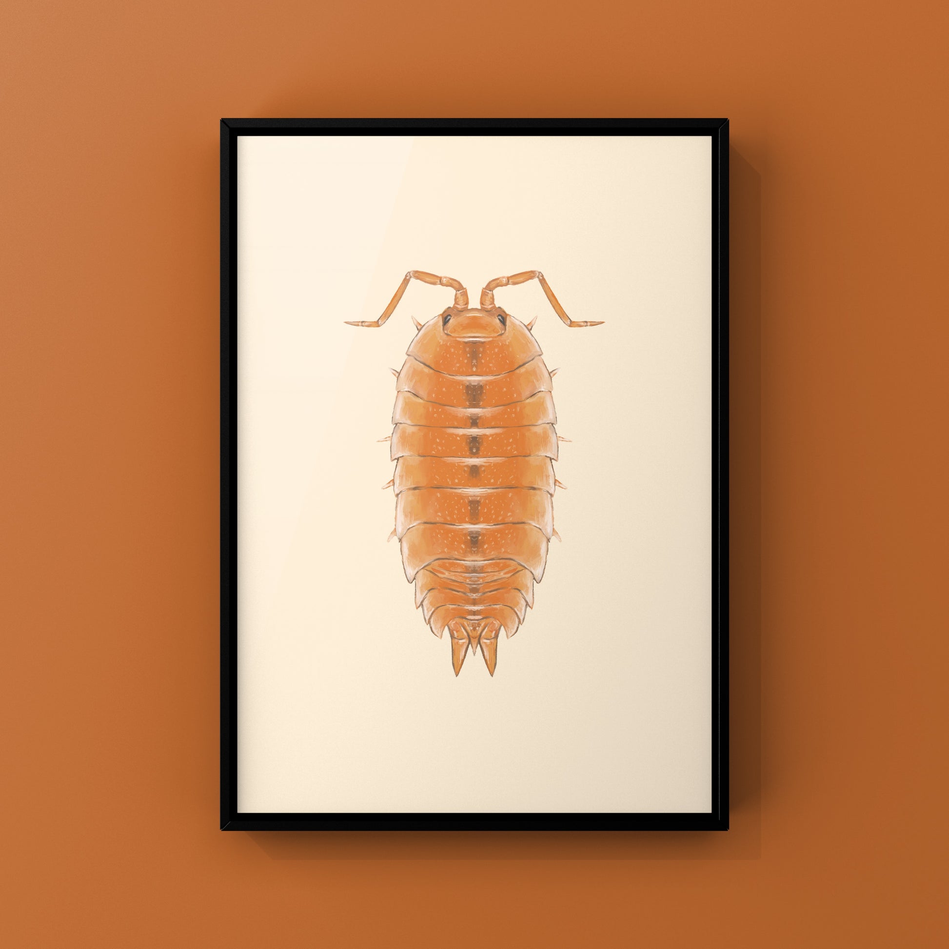 Orange Scaber Isopod, Porcellio Scaber Orange, Photographic Art Print from The Silk Ranch