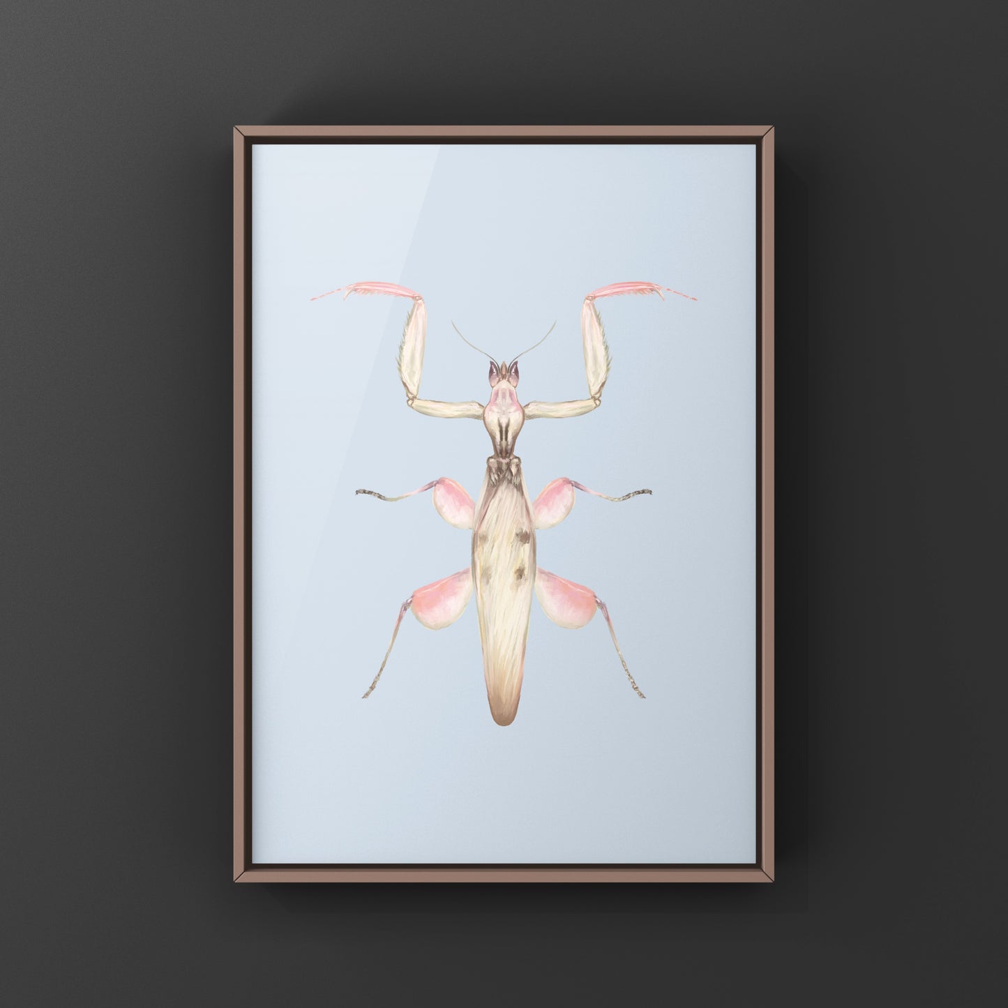 Orchid Mantis, Hymenopus Coronatus, Photographic Art Print from The Silk Ranch