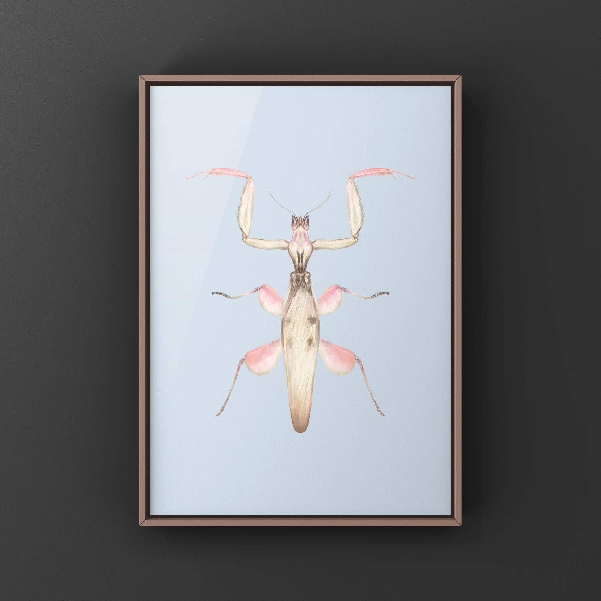 Orchid Mantis, Hymenopus Coronatus, Photographic Art Print from The Silk Ranch