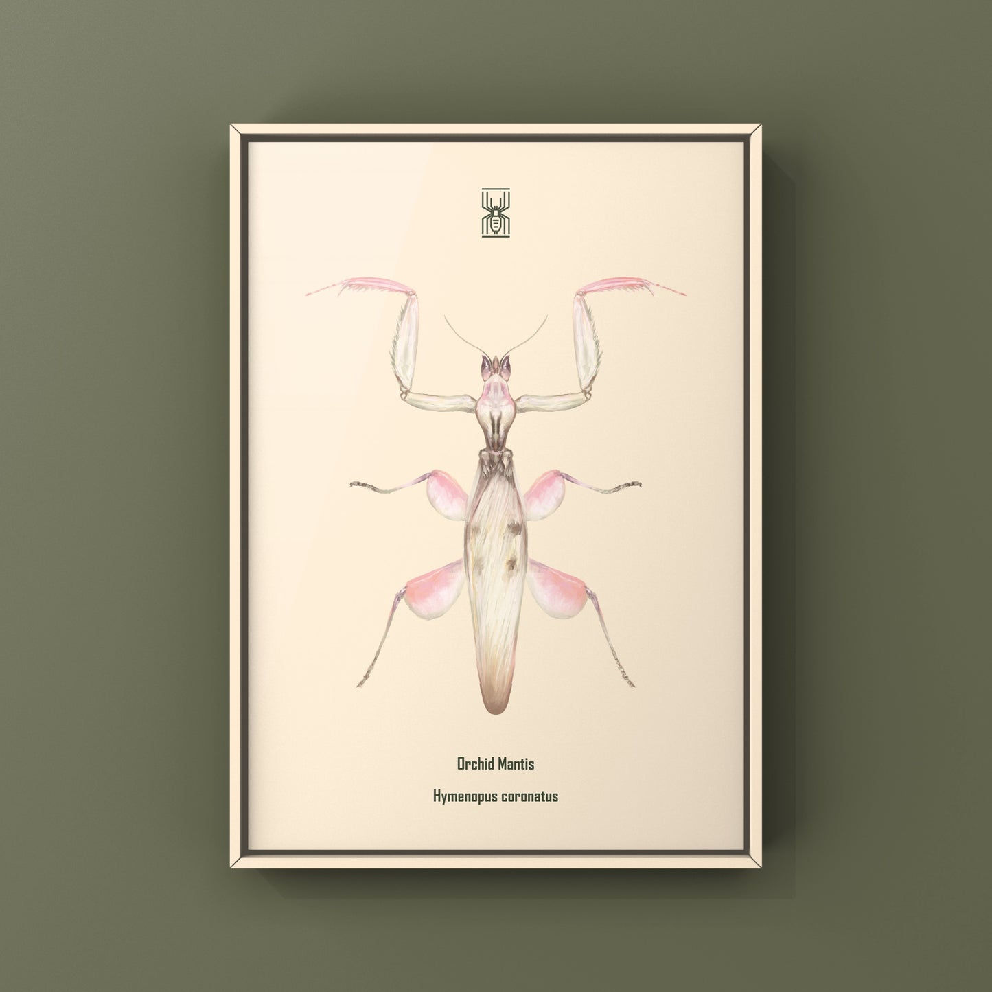 Orchid Mantis, Hymenopus Coronatus, Photographic Art Print from The Silk Ranch