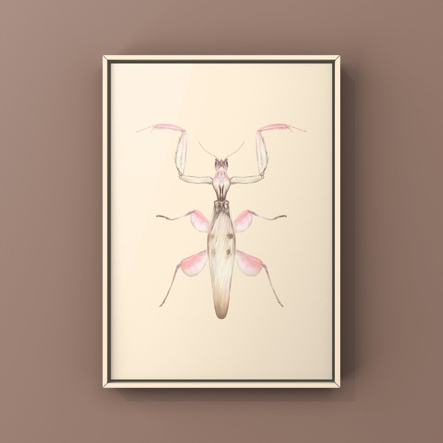 Orchid Mantis, Hymenopus Coronatus, Photographic Art Print from The Silk Ranch