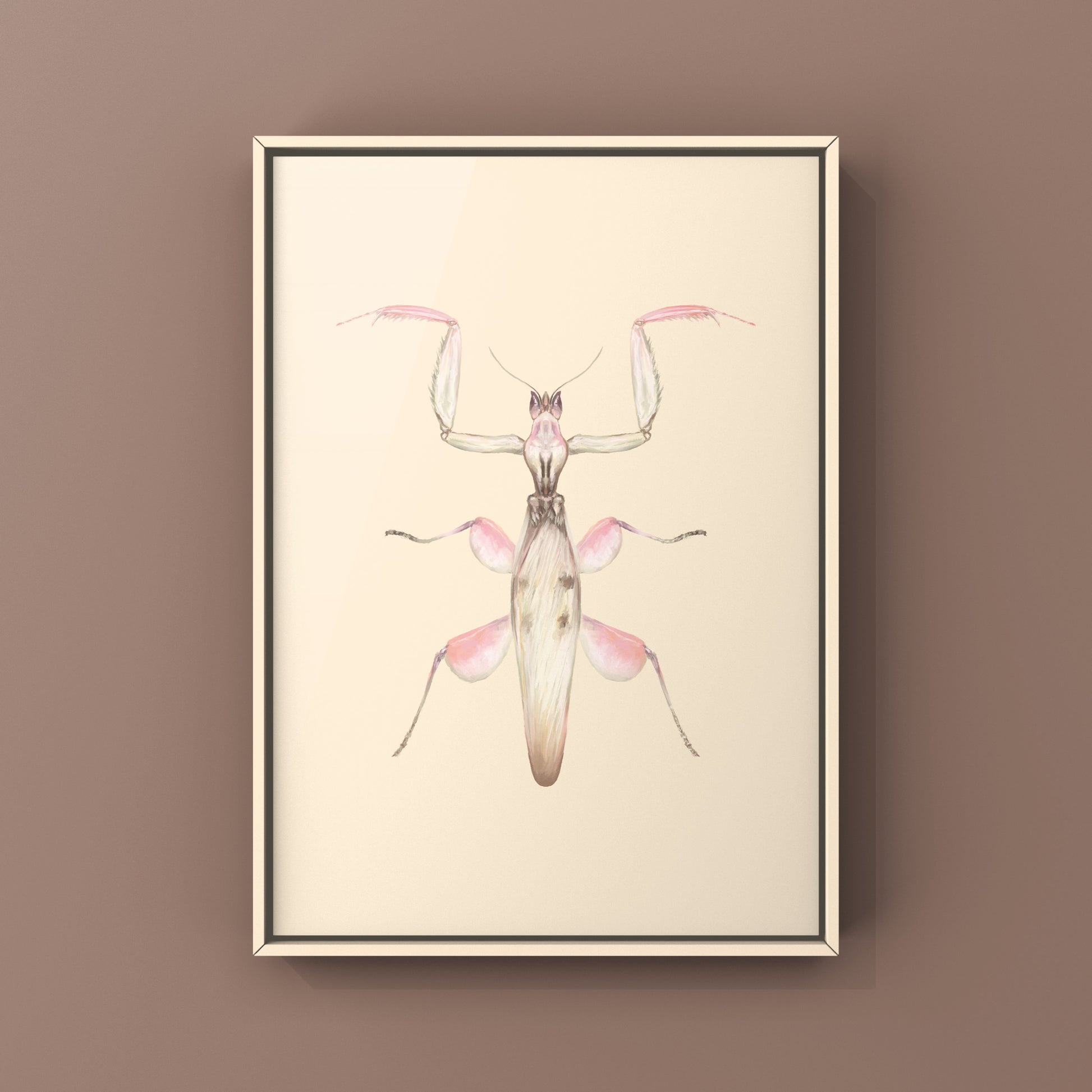 Orchid Mantis, Hymenopus Coronatus, Photographic Art Print from The Silk Ranch