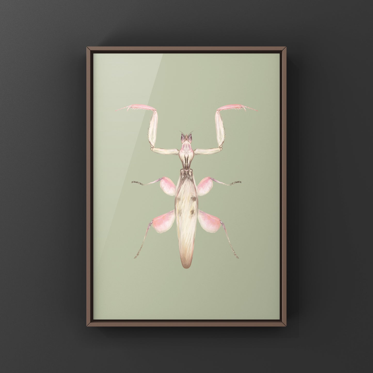 Orchid Mantis, Hymenopus Coronatus, Photographic Art Print from The Silk Ranch