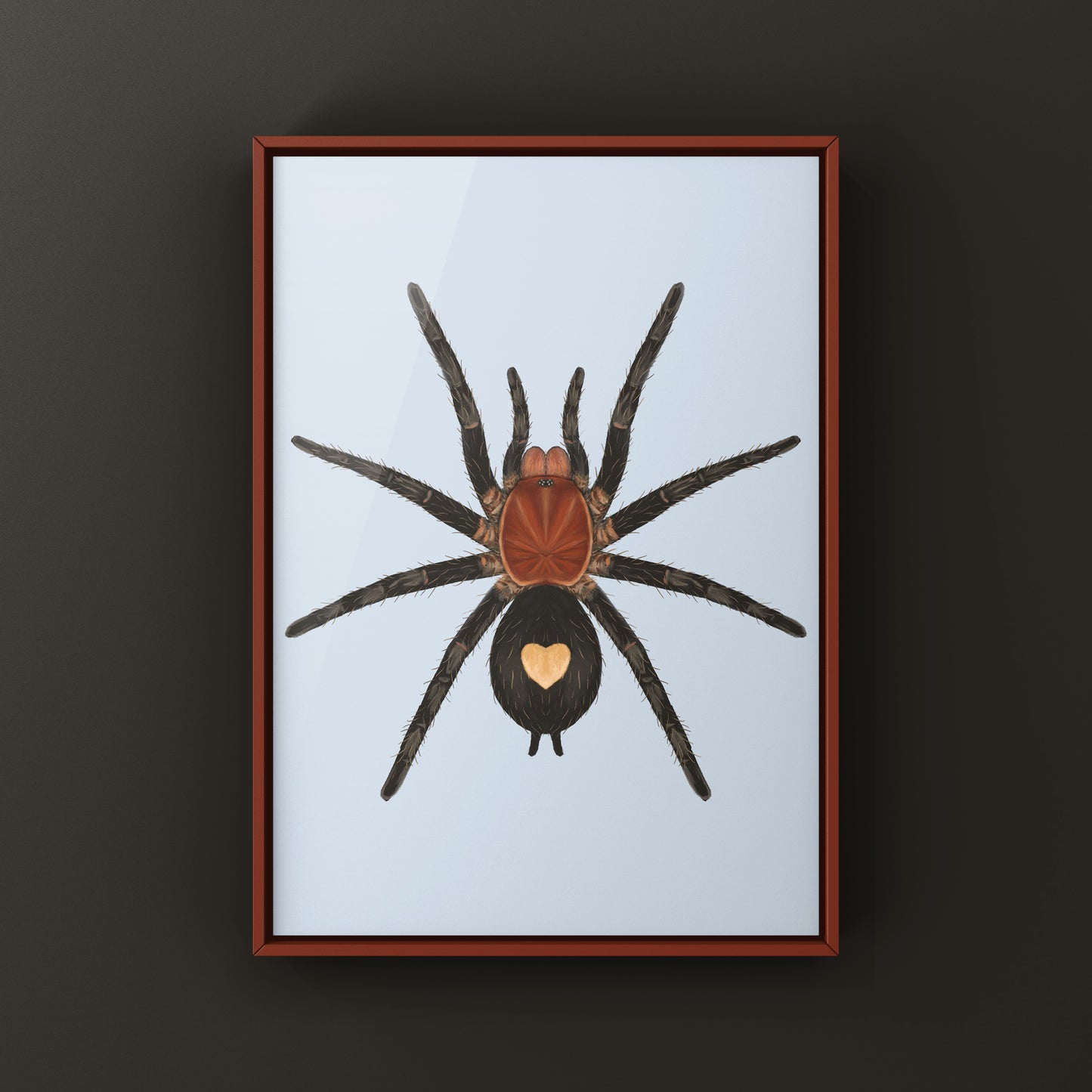 Peruvian Dwarf Star Tarantula, Cyriocosmus Sellatus, Photographic Art Print from The Silk Ranch