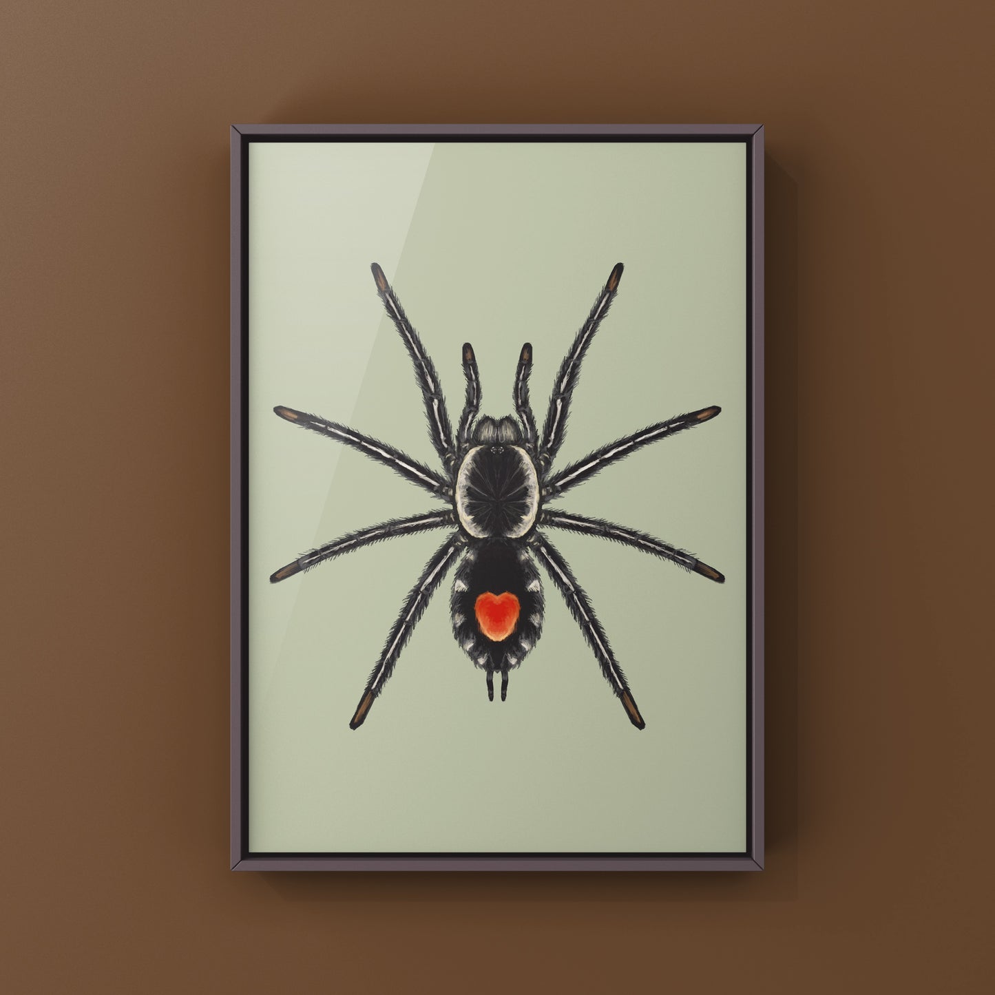 Photographic art print of a Redback Phantom Tarantula (Cyriocosmus Hoeferi) with detailed close-up of the arachnid's vibrant features.