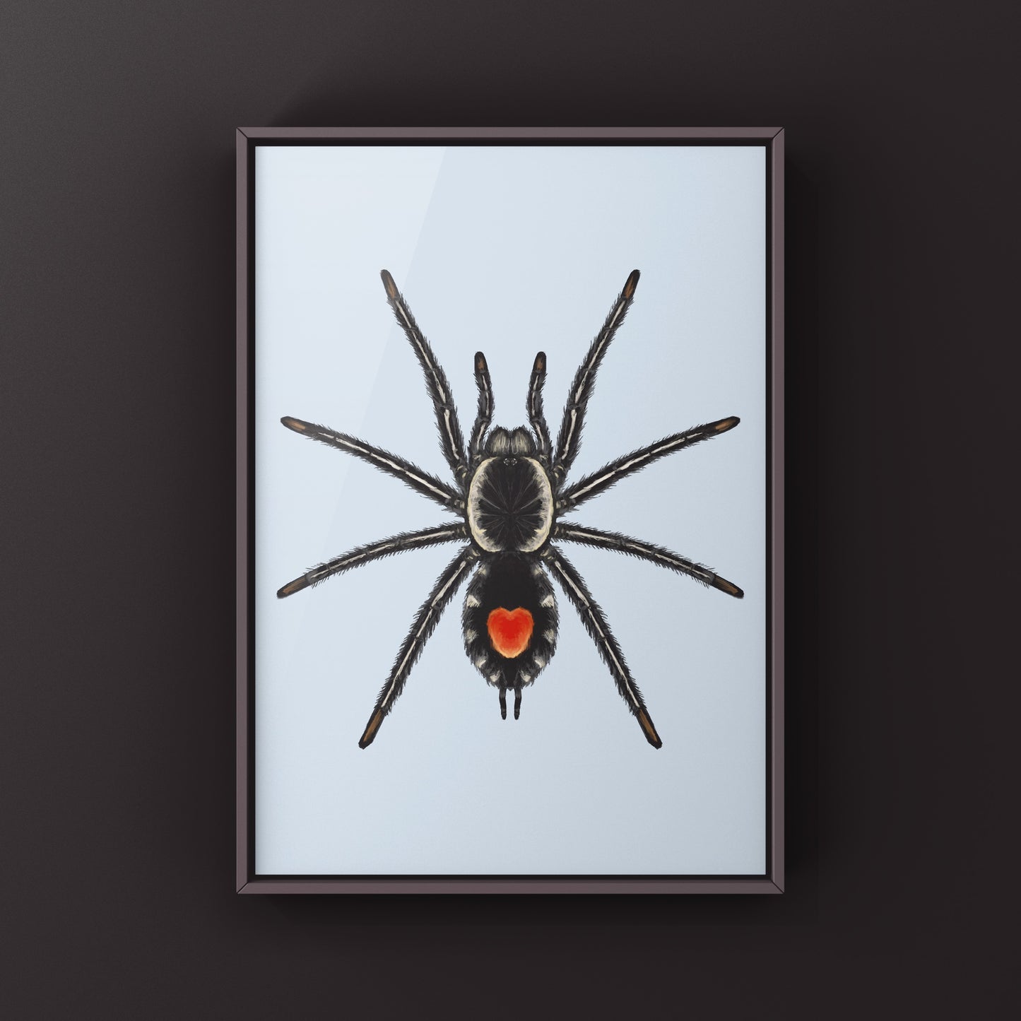 Photographic art print of a Redback Phantom Tarantula (Cyriocosmus Hoeferi) with detailed close-up image showcasing its vibrant colors.