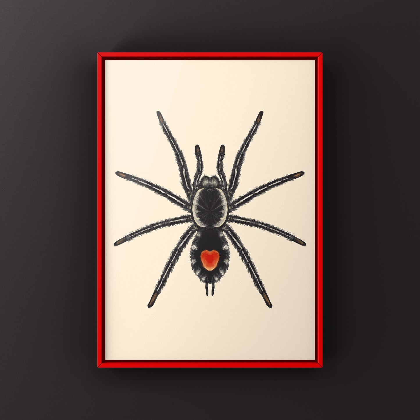 Photographic art print of a Redback Phantom Tarantula (Cyriocosmus Hoeferi) by The Silk Ranch, showcasing detailed spider imagery.