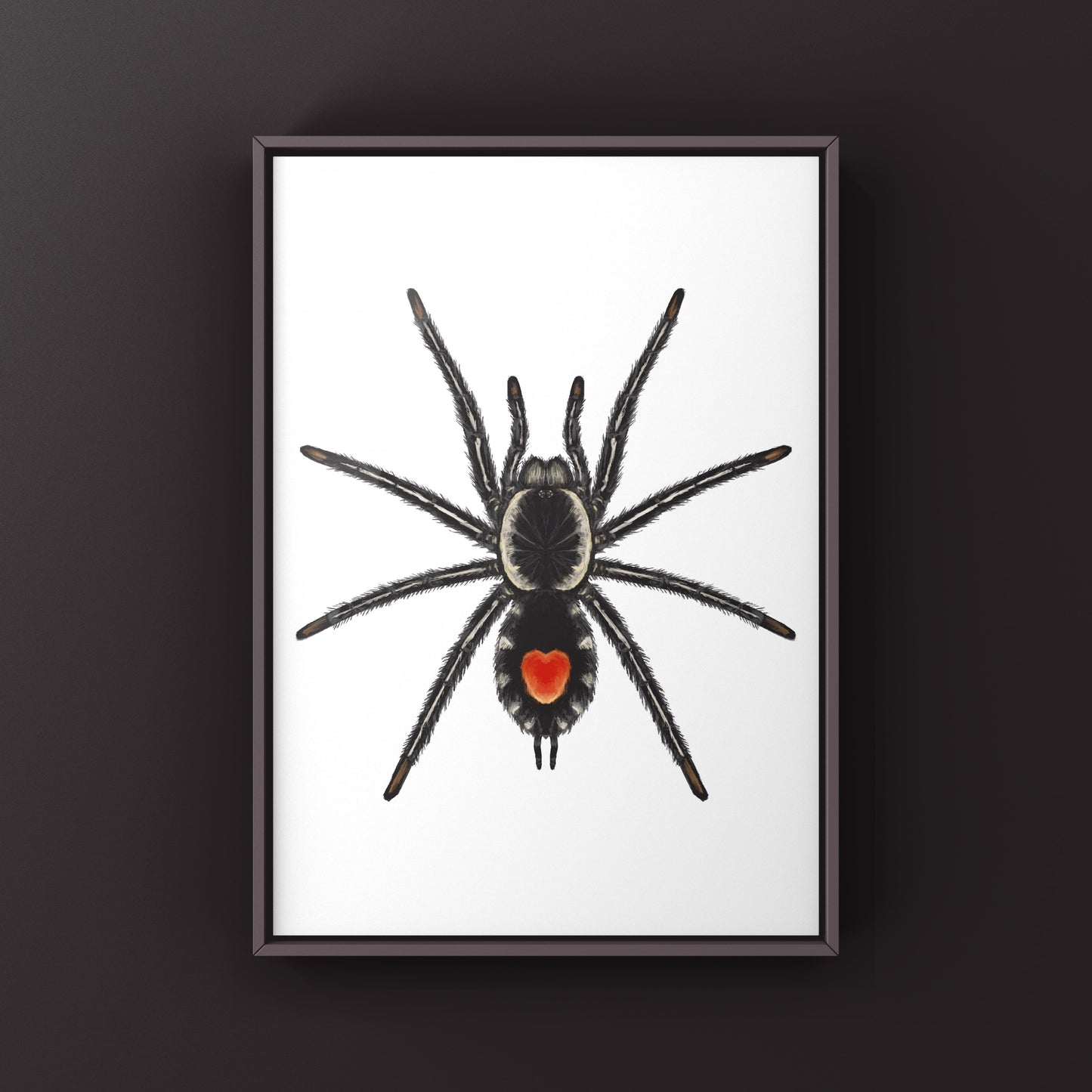 Photographic art print of a Redback Phantom Tarantula (Cyriocosmus Hoeferi) showcasing detailed close-up of its vibrant body.
