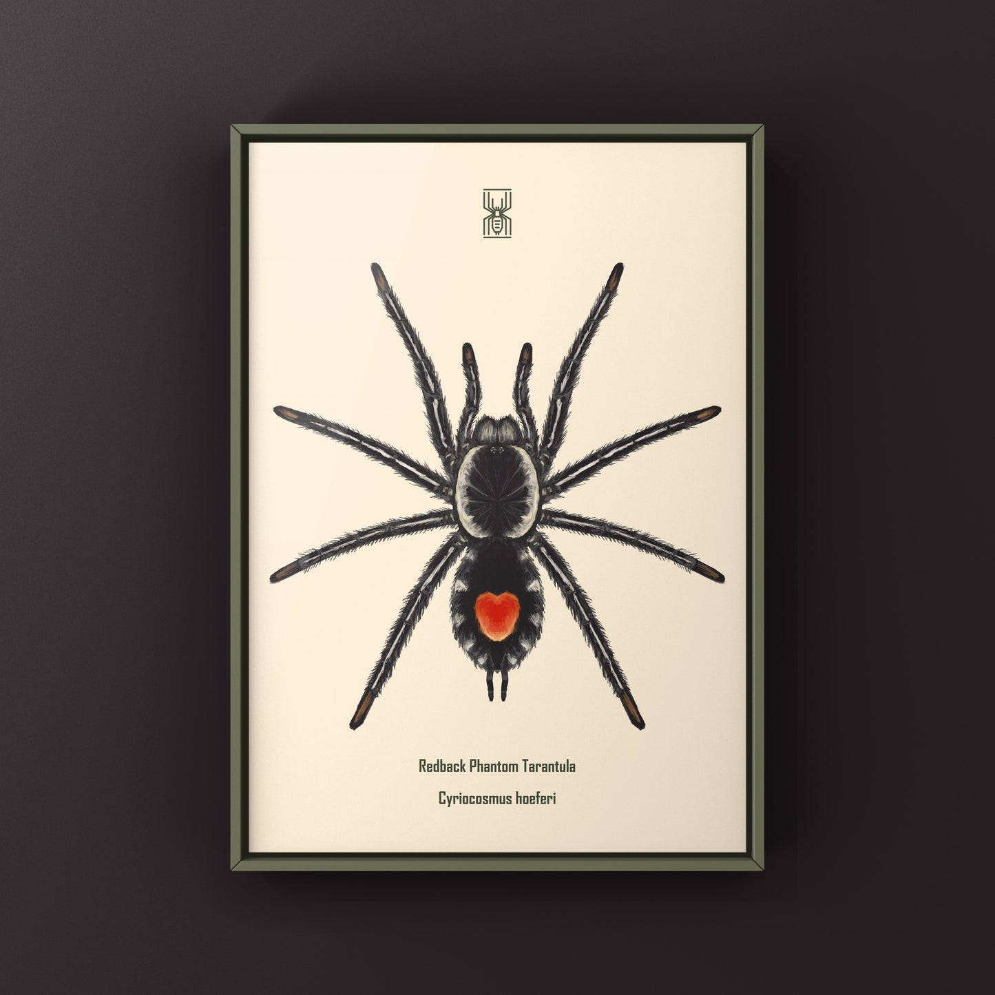 Photographic art print of a Redback Phantom Tarantula (Cyriocosmus Hoeferi) showcasing detailed close-up of the spider.