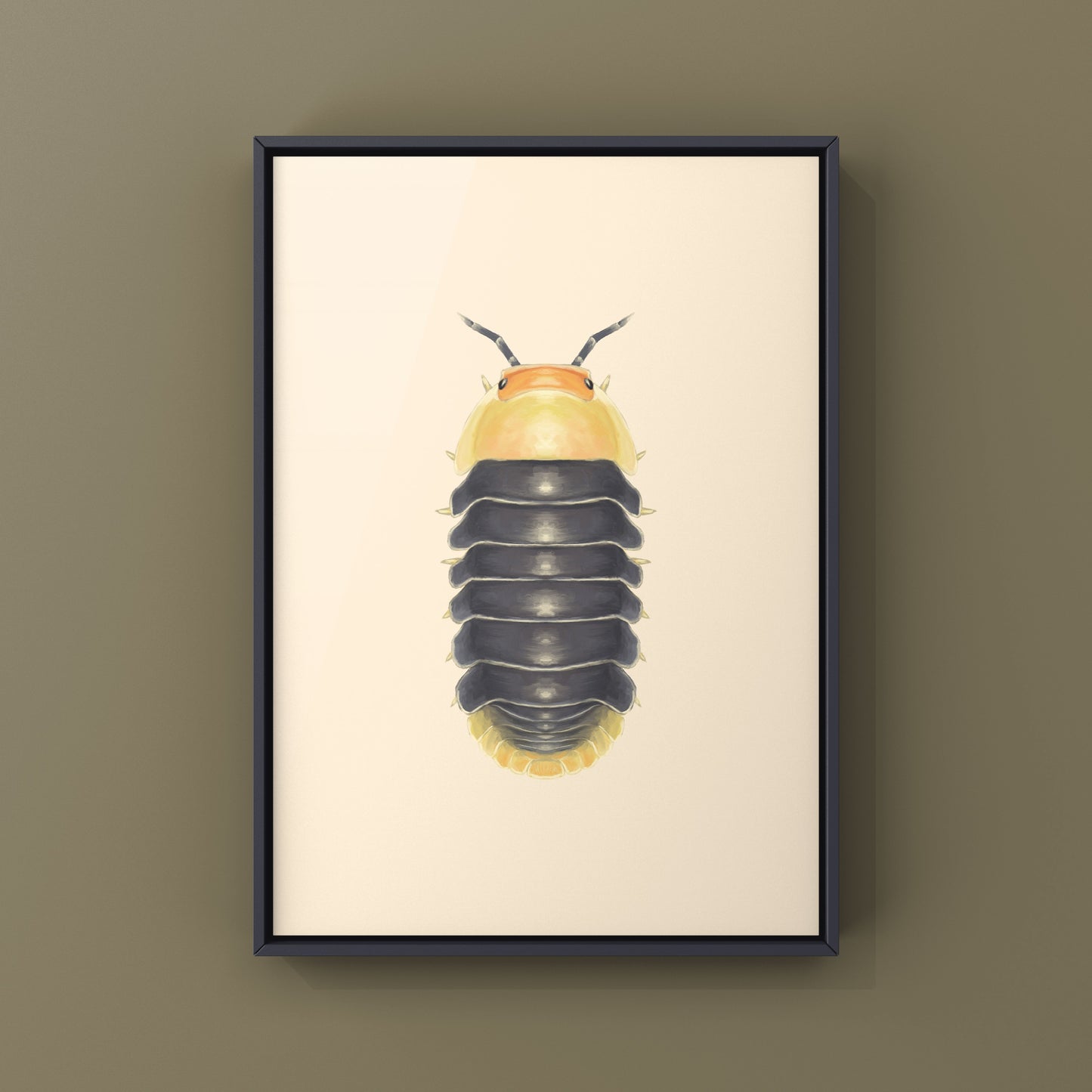 Rubber Ducky Isopod, Cubaris sp. Rubber Ducky, Photographic Art Print from The Silk Ranch