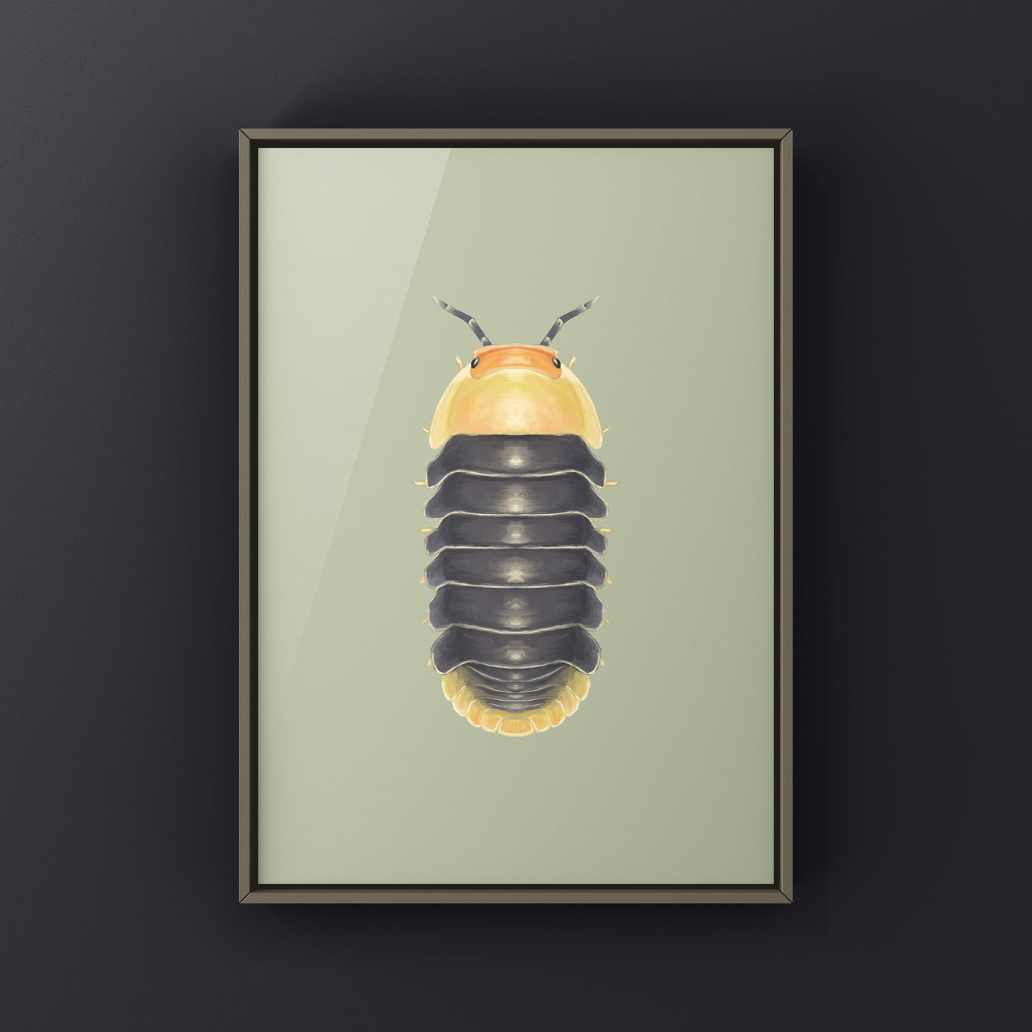 Rubber Ducky Isopod, Cubaris sp. Rubber Ducky, Photographic Art Print from The Silk Ranch