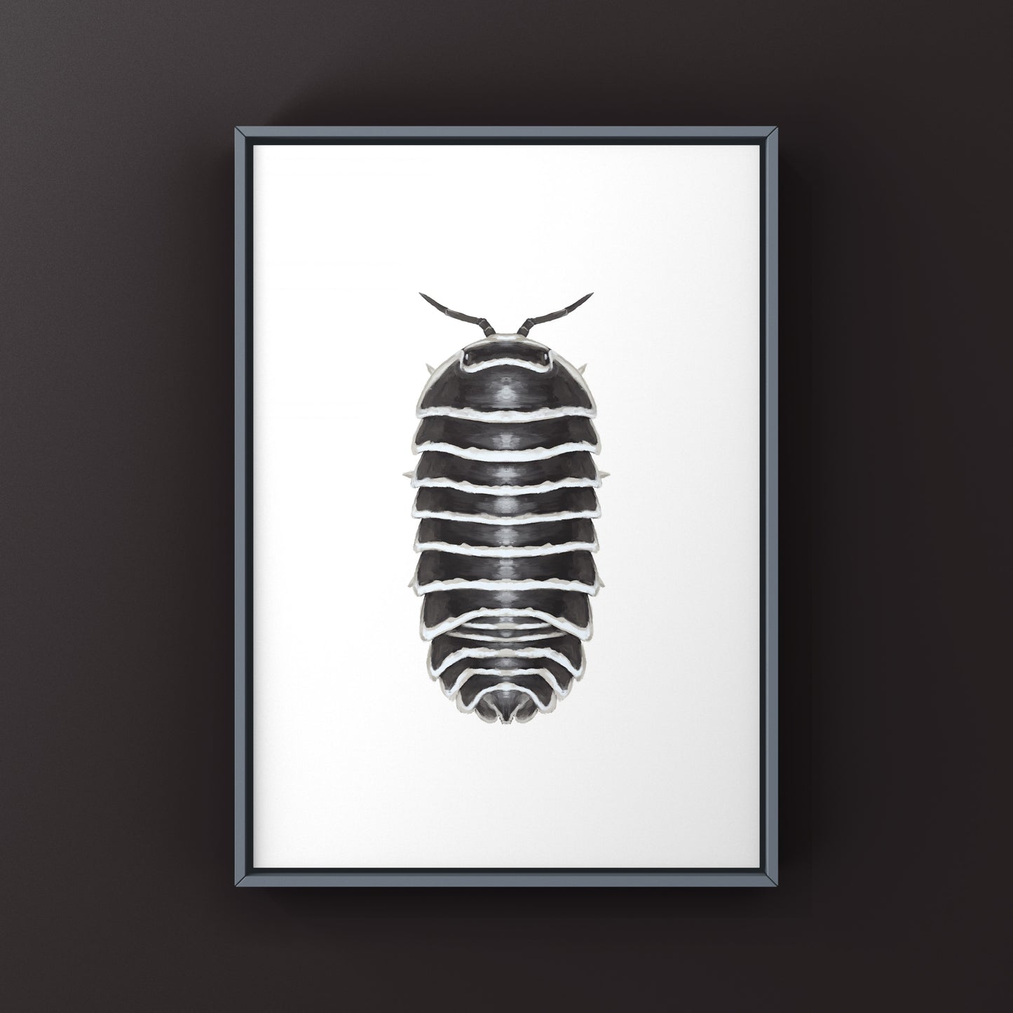 Zebra Isopod, Armadillidium Maculatum, Photographic Art Print from The Silk Ranch