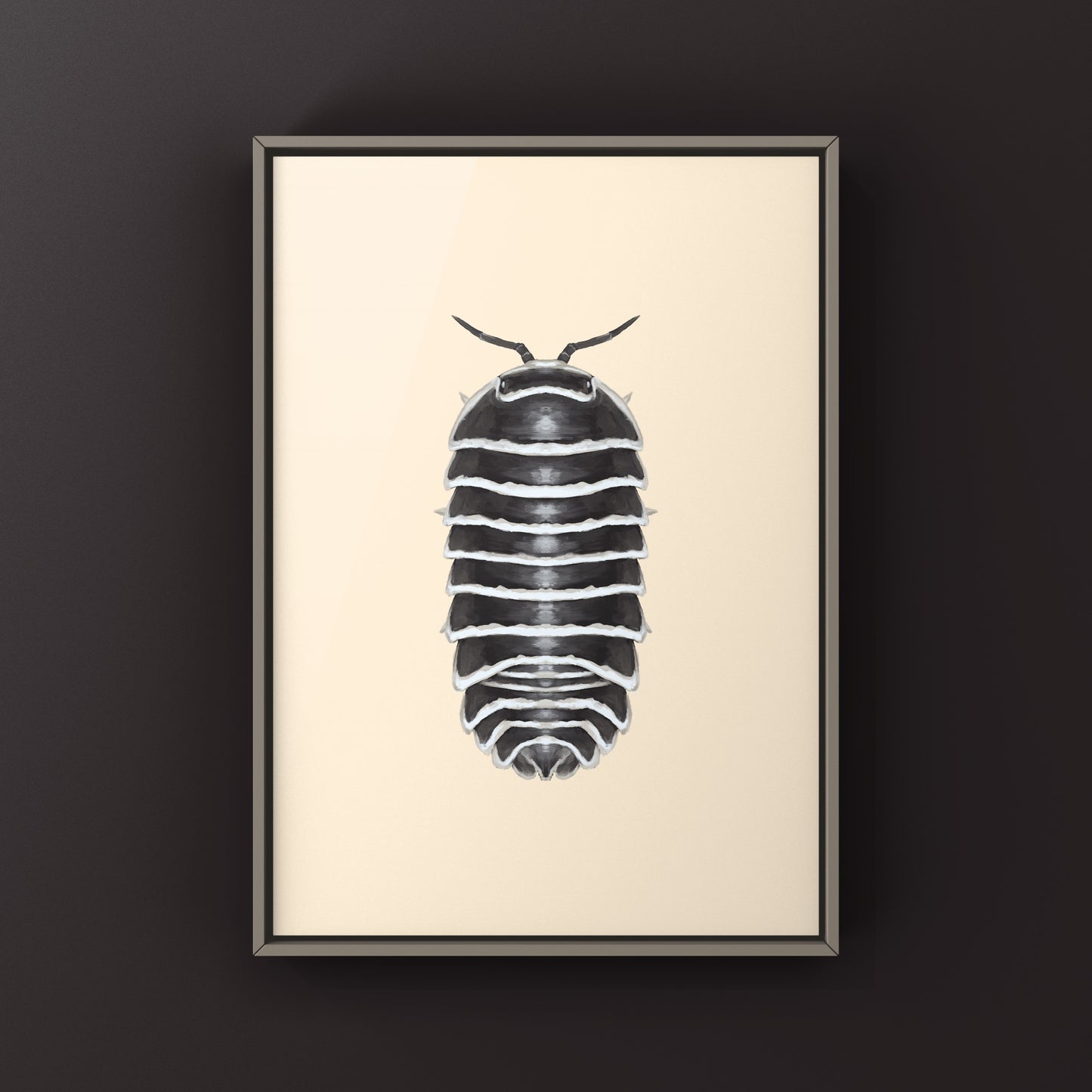 Zebra Isopod, Armadillidium Maculatum, Photographic Art Print from The Silk Ranch