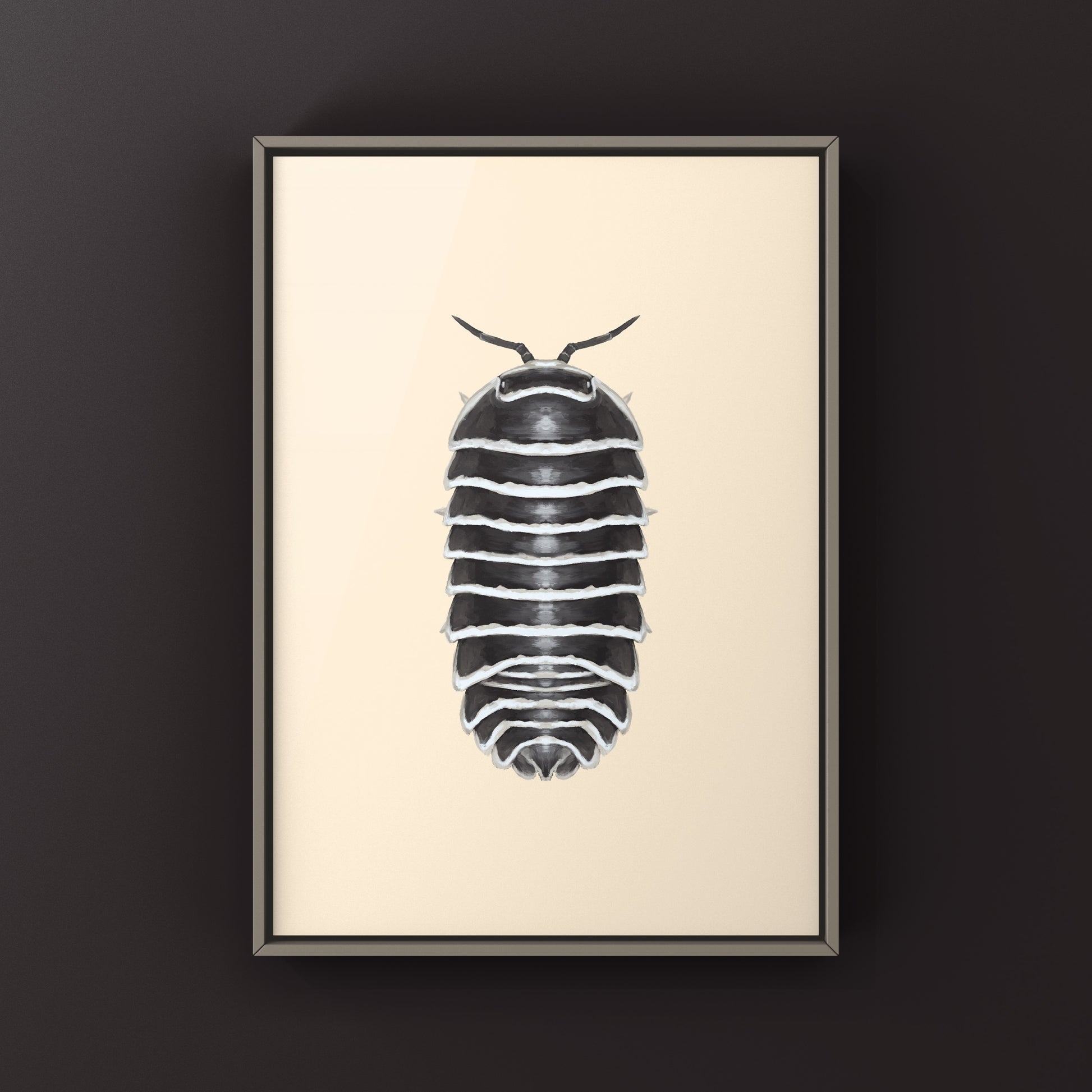 Zebra Isopod, Armadillidium Maculatum, Photographic Art Print from The Silk Ranch