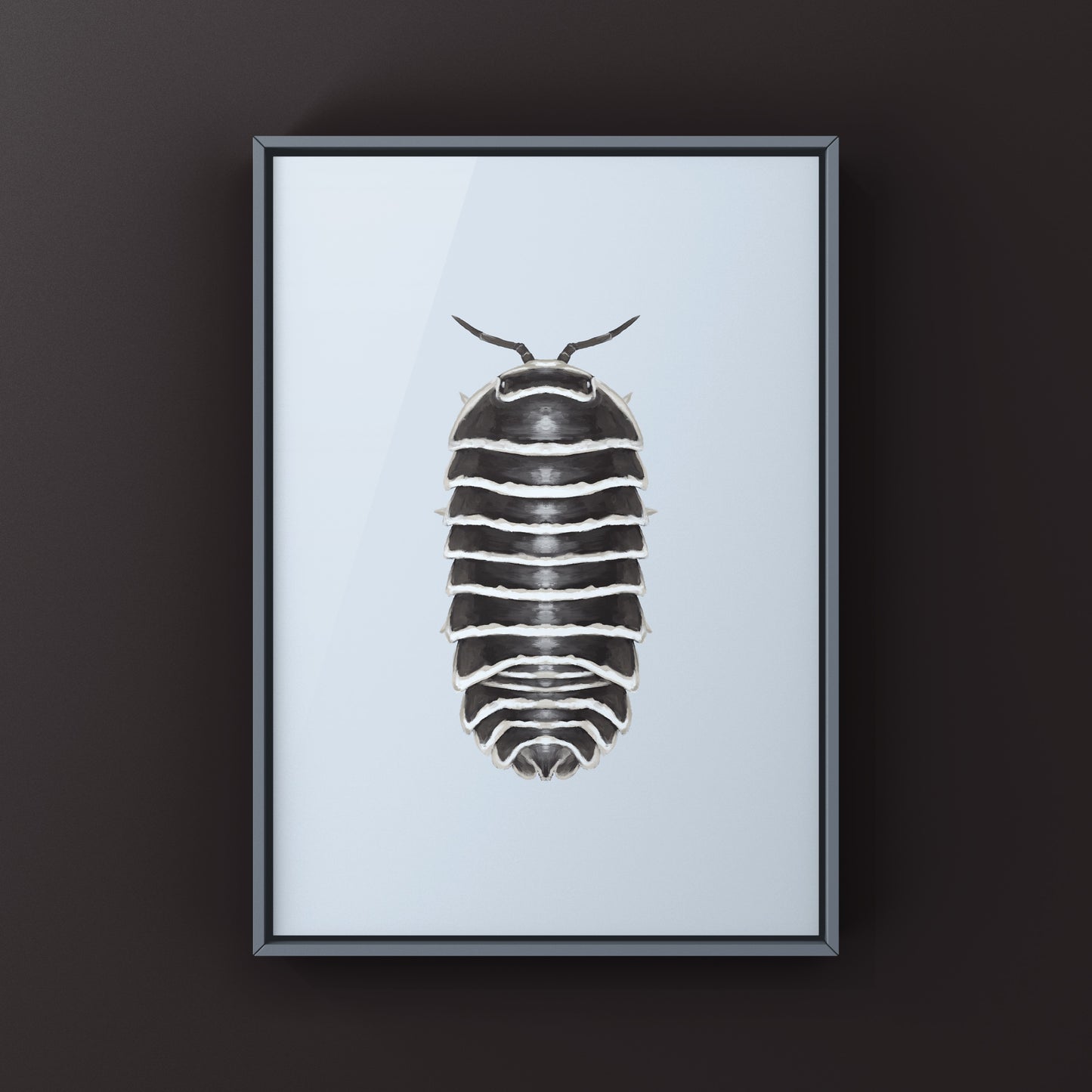 Zebra Isopod, Armadillidium Maculatum, Photographic Art Print from The Silk Ranch