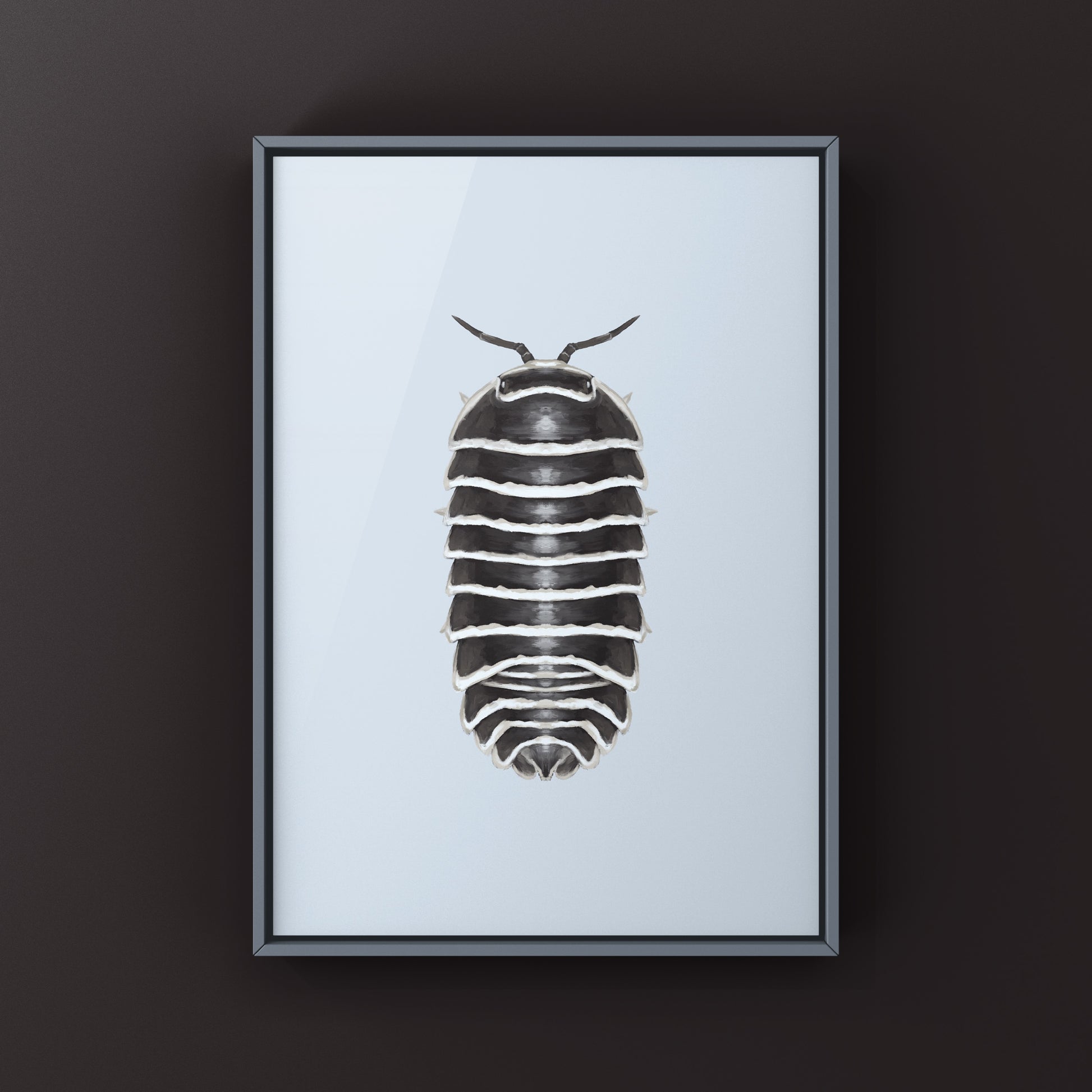 Zebra Isopod, Armadillidium Maculatum, Photographic Art Print from The Silk Ranch