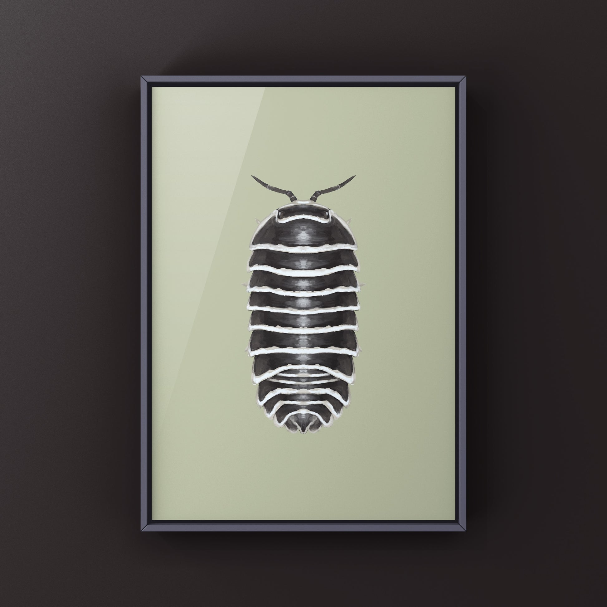 Zebra Isopod, Armadillidium Maculatum, Photographic Art Print from The Silk Ranch