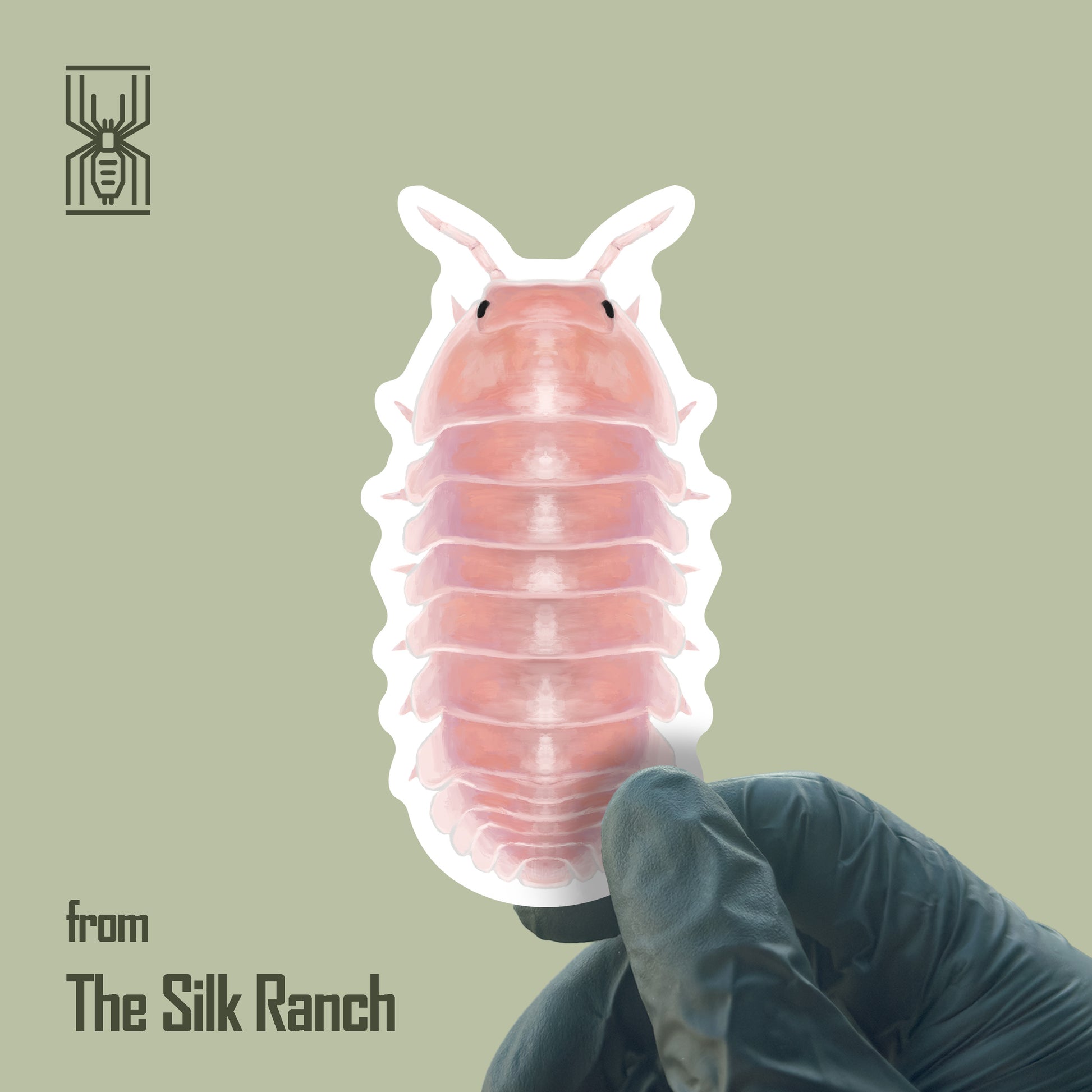 Cherry Blossom Isopod Sticker, Cubaris Sp. Cherry Blossom Waterproof Vinyl Sticker from The Silk Ranch