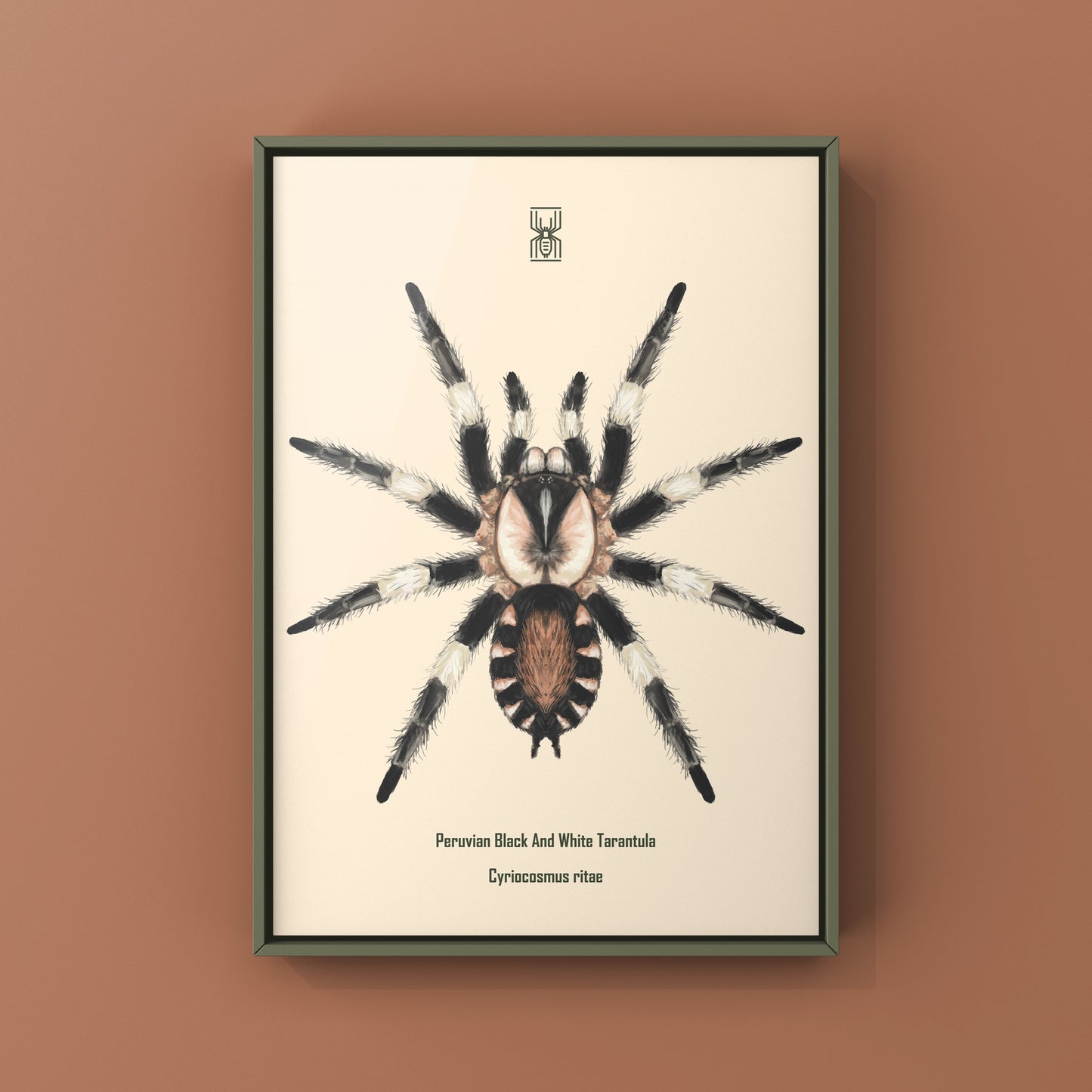 Photographic art print of a Peruvian Black and White Tarantula, Cyriocosmus Ritae, showcasing detailed spider close-up artwork.