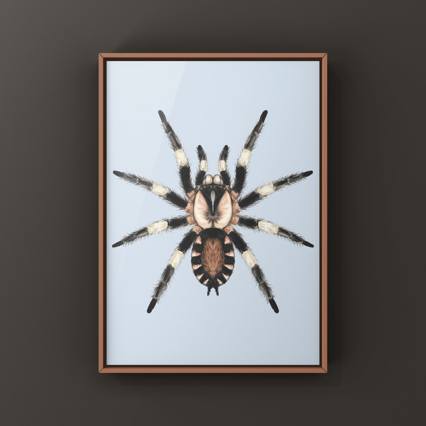 Photographic art print of a Peruvian Black and White Tarantula, Cyriocosmus Ritae, showcasing detailed arachnid features.