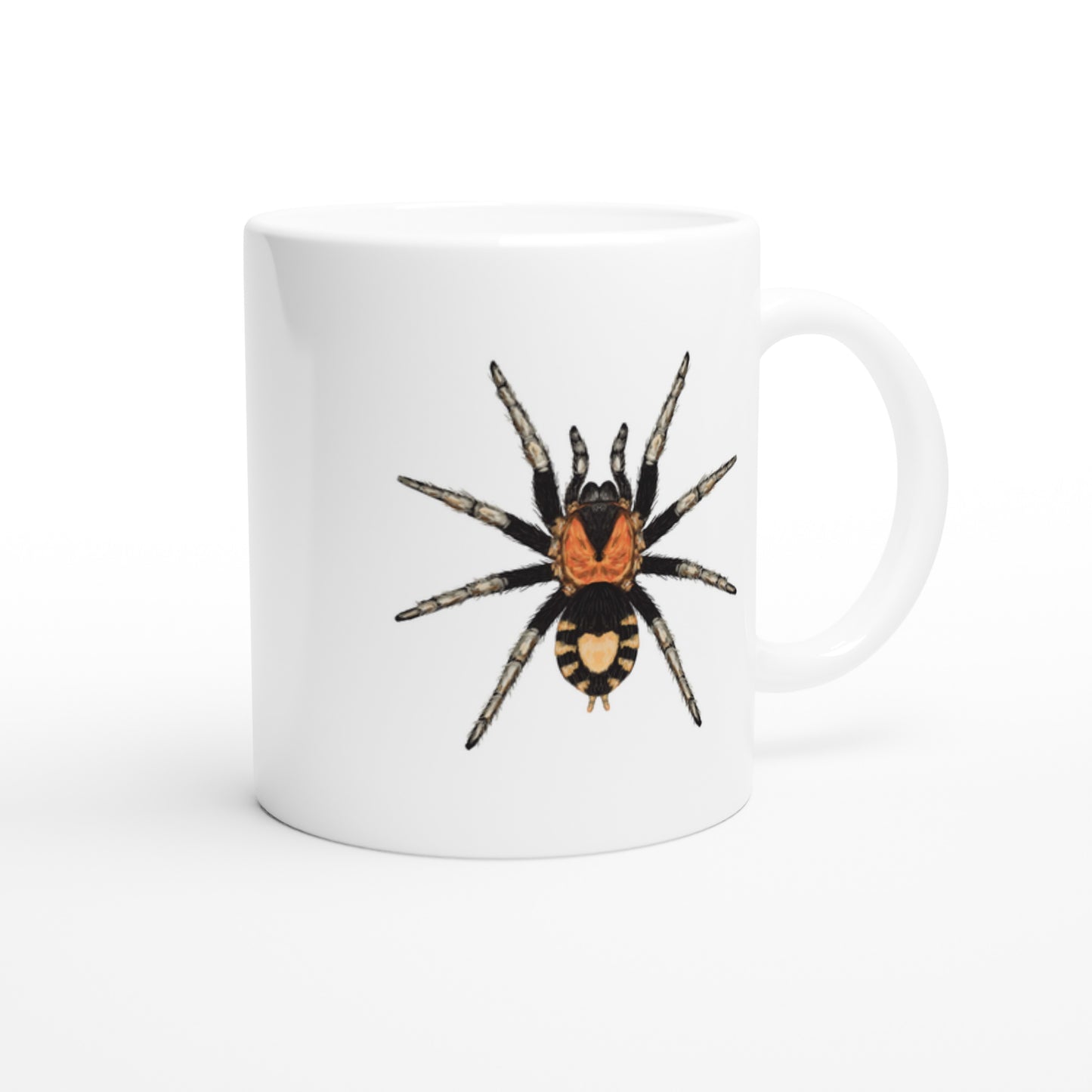 Trinidad Dwarf Tarantula, Cyriocosmus Elegans, Ceramic Graphic Mug from The Silk Ranch